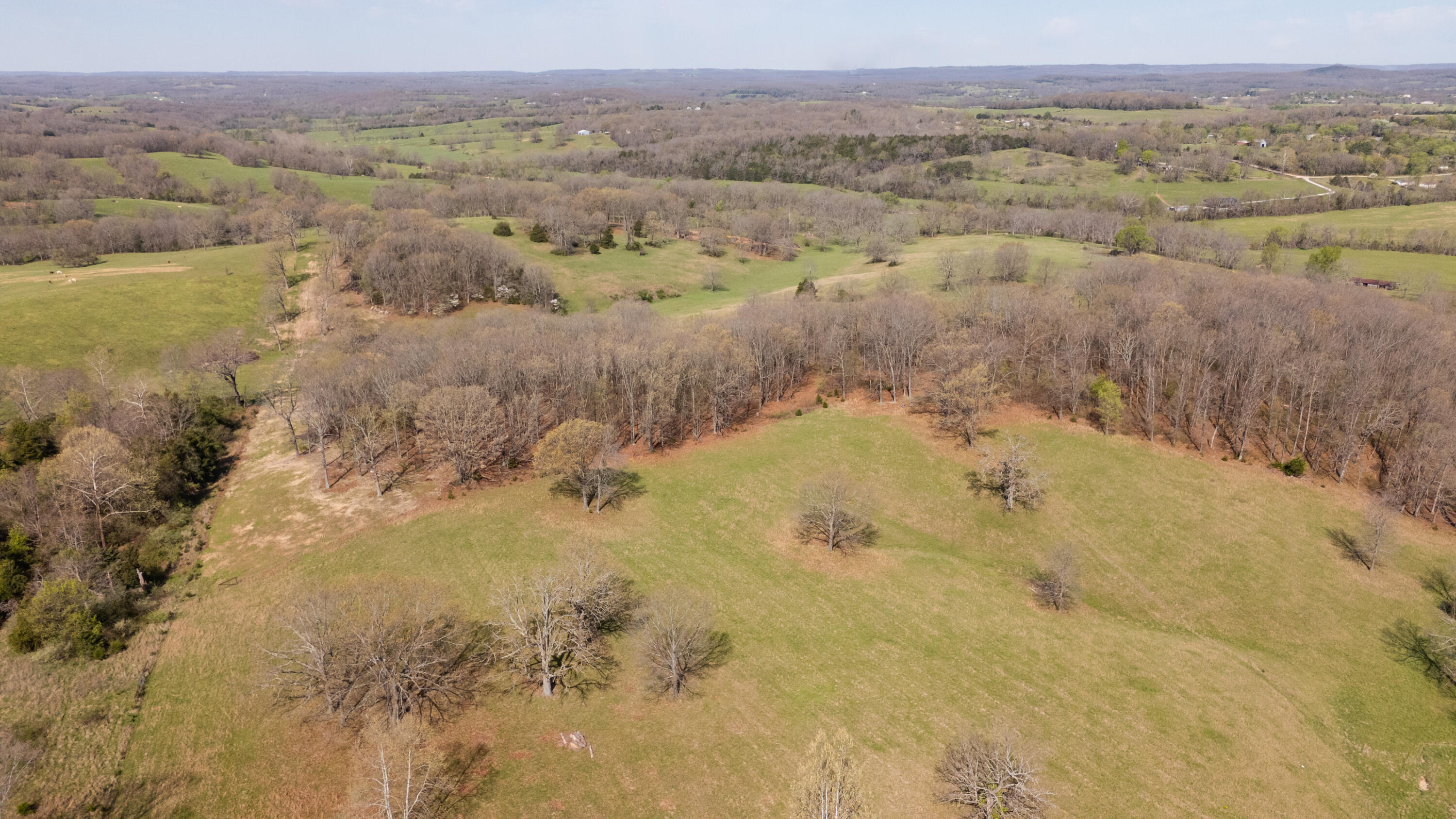 Photo 82 - Farm for sale – 9795  Co Rd W 76-506 Road  Ava, MO