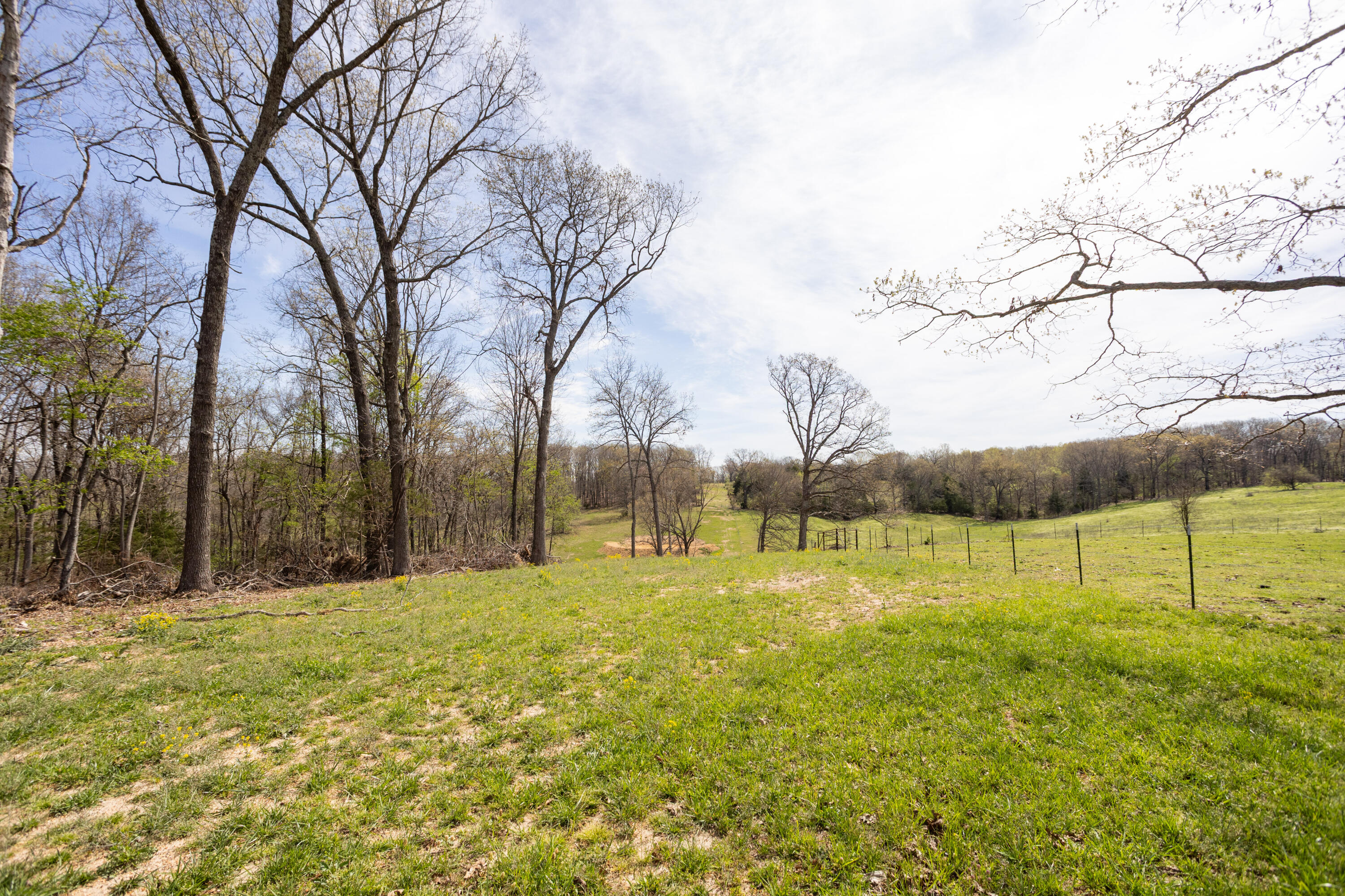 Photo 87 - Farm for sale – 9795  Co Rd W 76-506 Road  Ava, MO