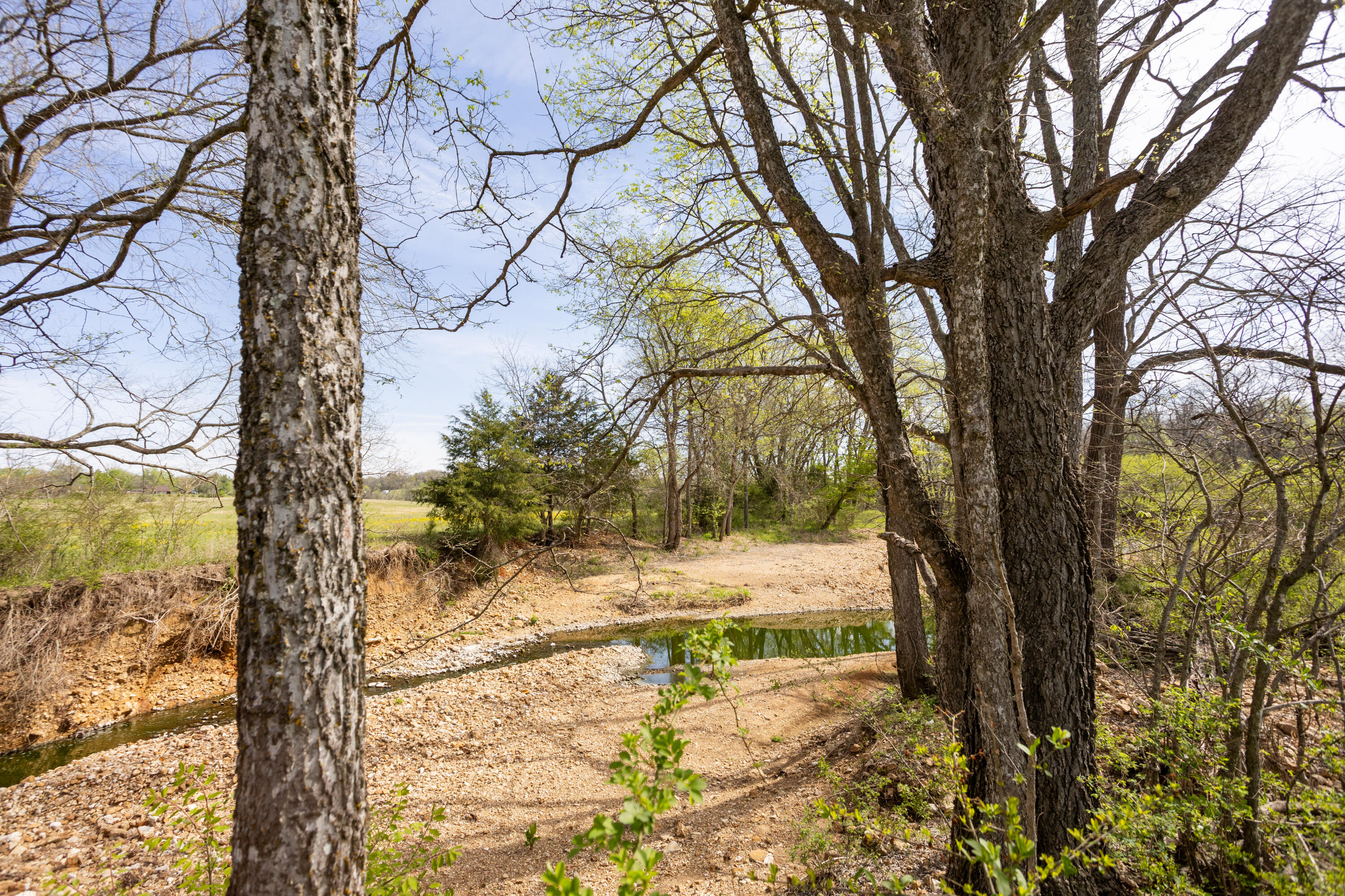Photo 86 - Farm for sale – 9795  Co Rd W 76-506 Road  Ava, MO