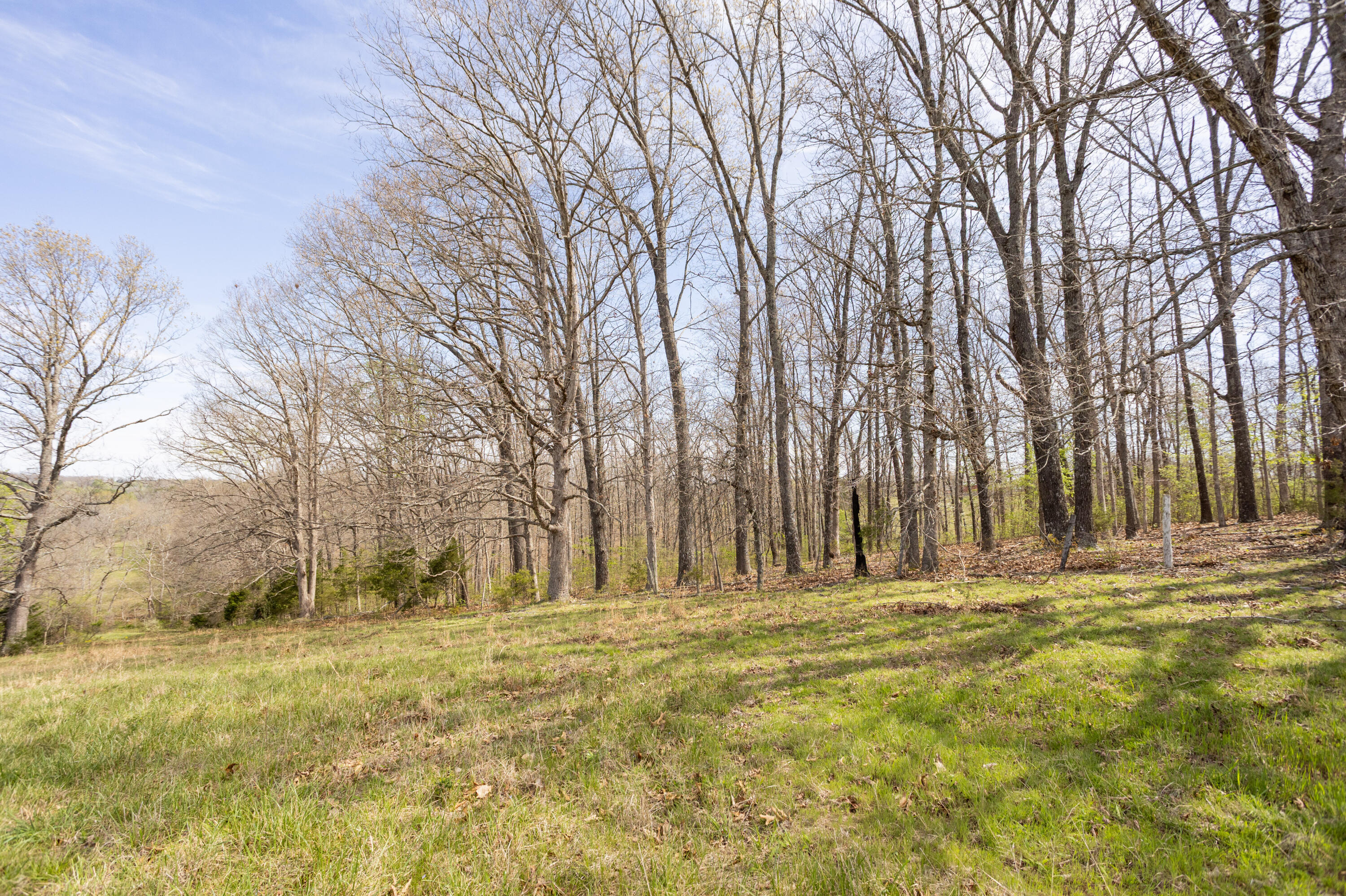 Photo 30 - Farm for sale – 9795  Co Rd W 76-506 Road  Ava, MO
