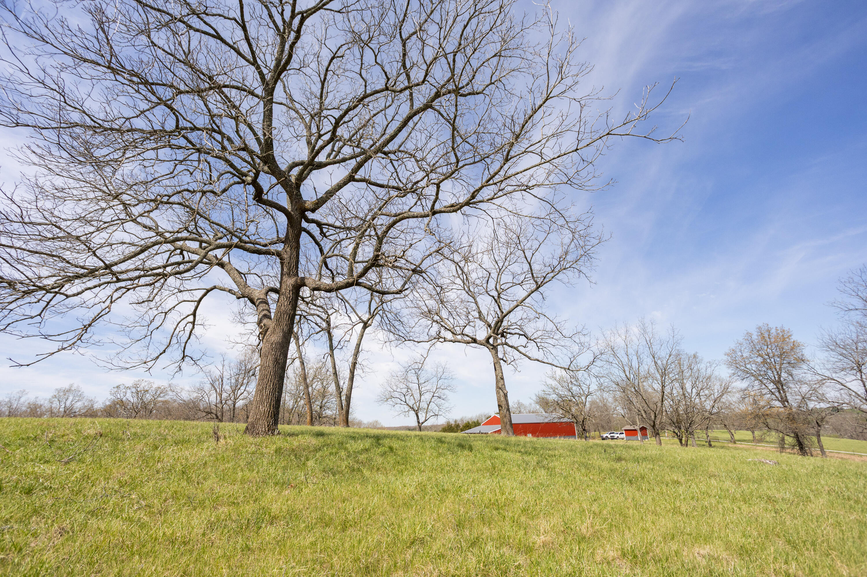 Photo 68 - Farm for sale – 9795  Co Rd W 76-506 Road  Ava, MO
