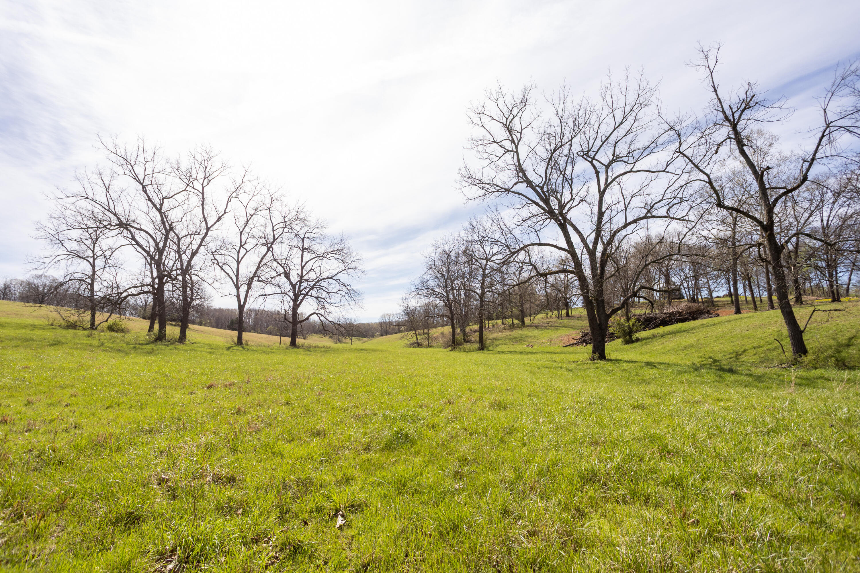 Photo 45 - Farm for sale – 9795  Co Rd W 76-506 Road  Ava, MO