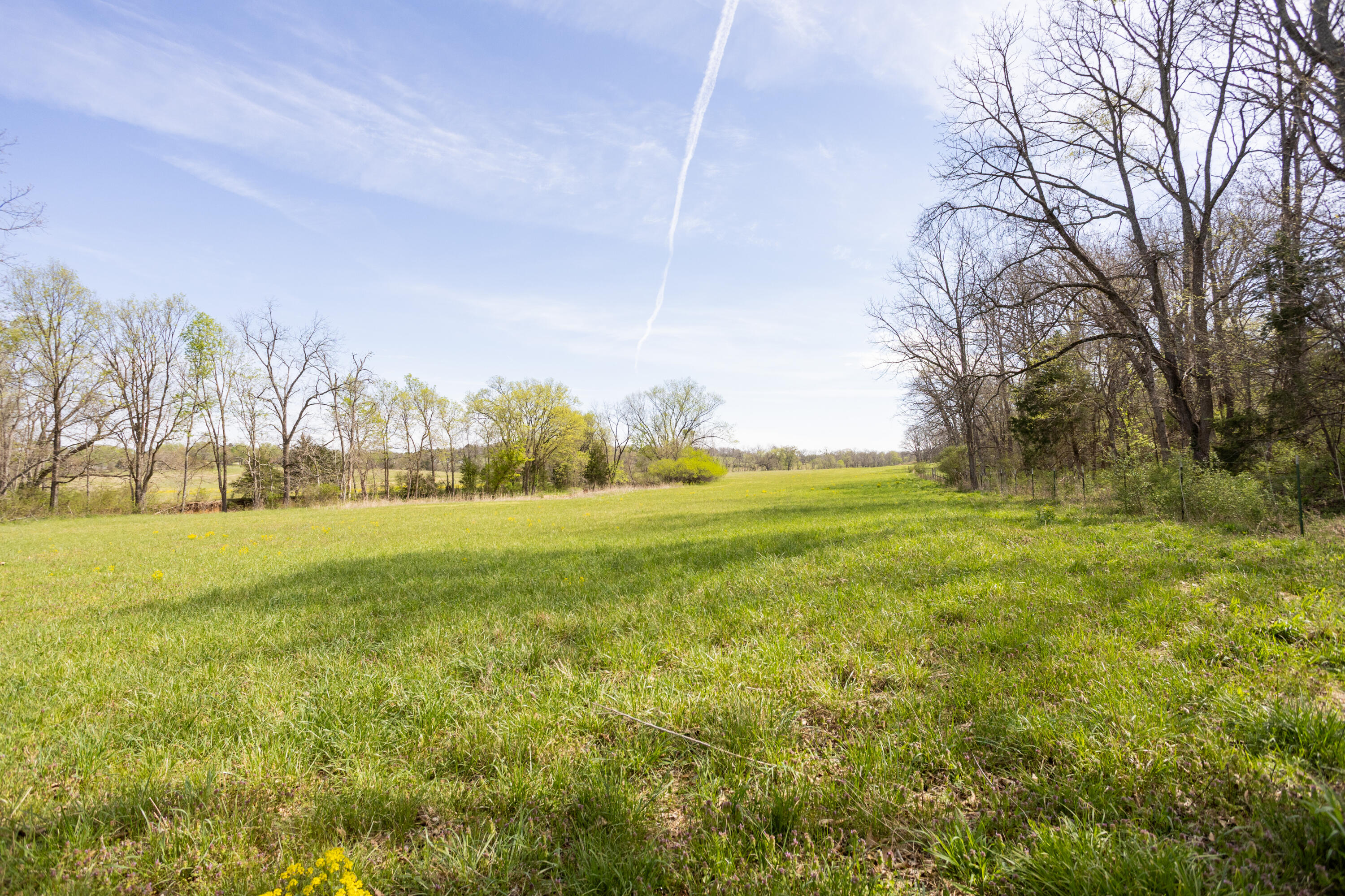 Photo 66 - Farm for sale – 9795  Co Rd W 76-506 Road  Ava, MO