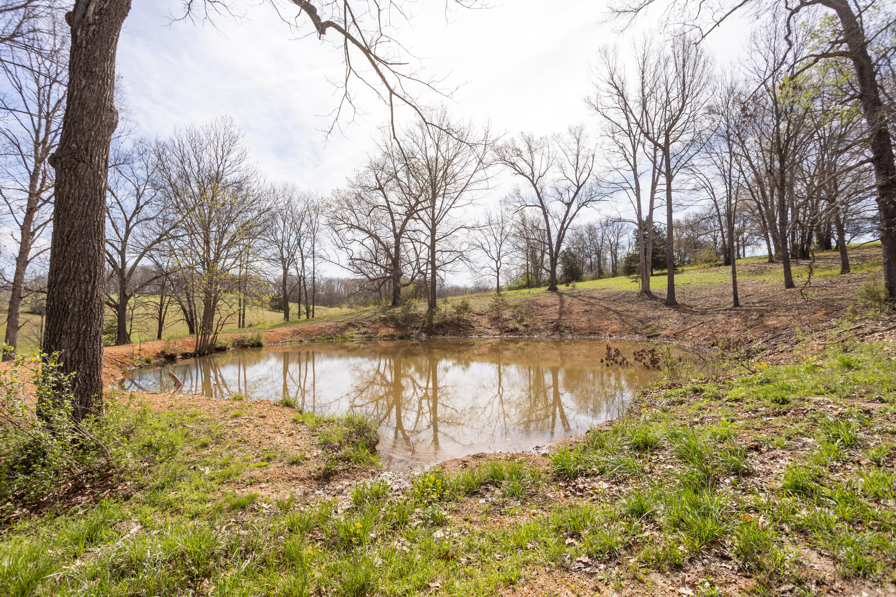 Photo 58 - Farm for sale – 9795  Co Rd W 76-506 Road  Ava, MO