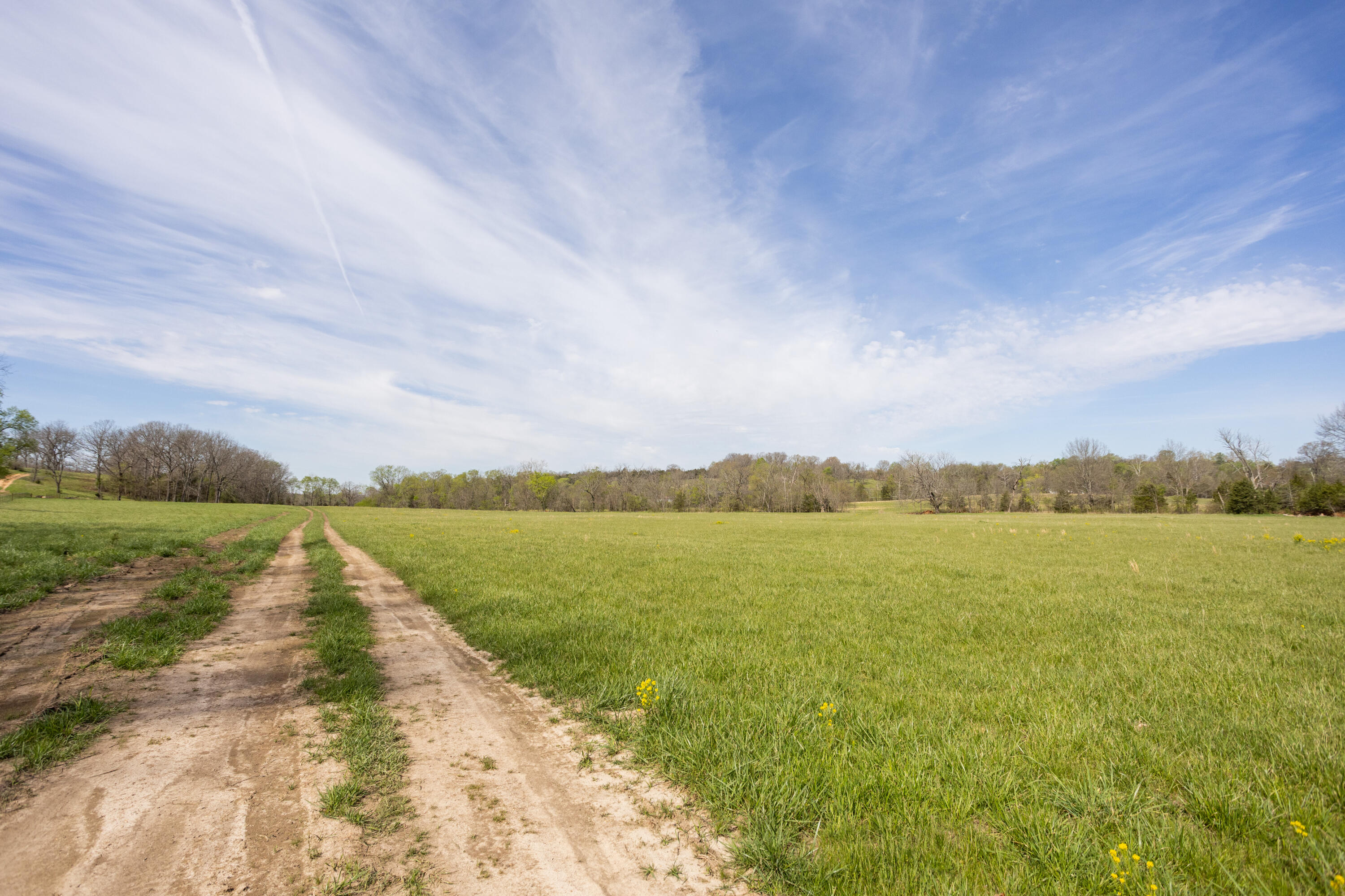 Photo 88 - Farm for sale – 9795  Co Rd W 76-506 Road  Ava, MO
