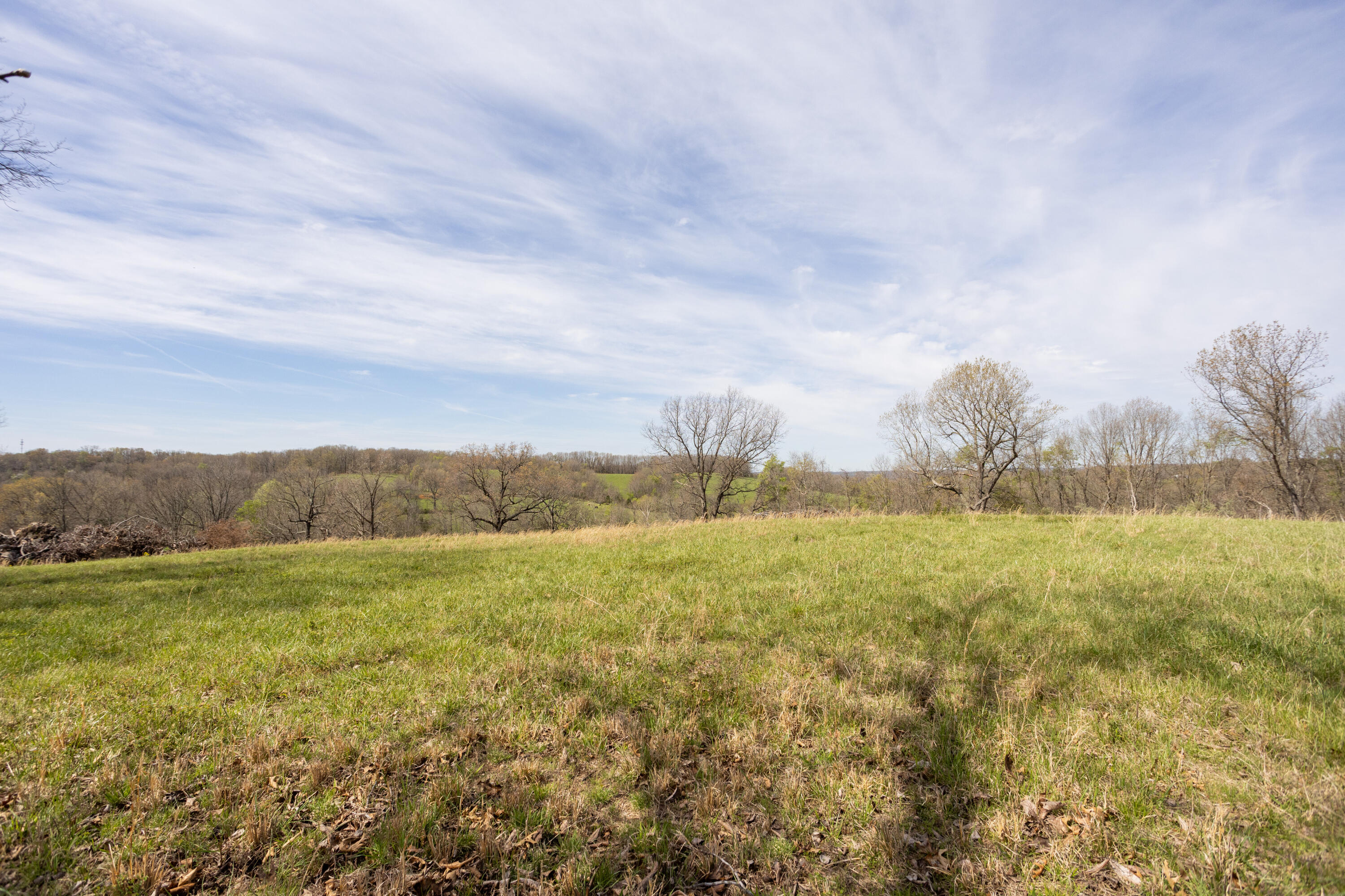 Photo 60 - Farm for sale – 9795  Co Rd W 76-506 Road  Ava, MO