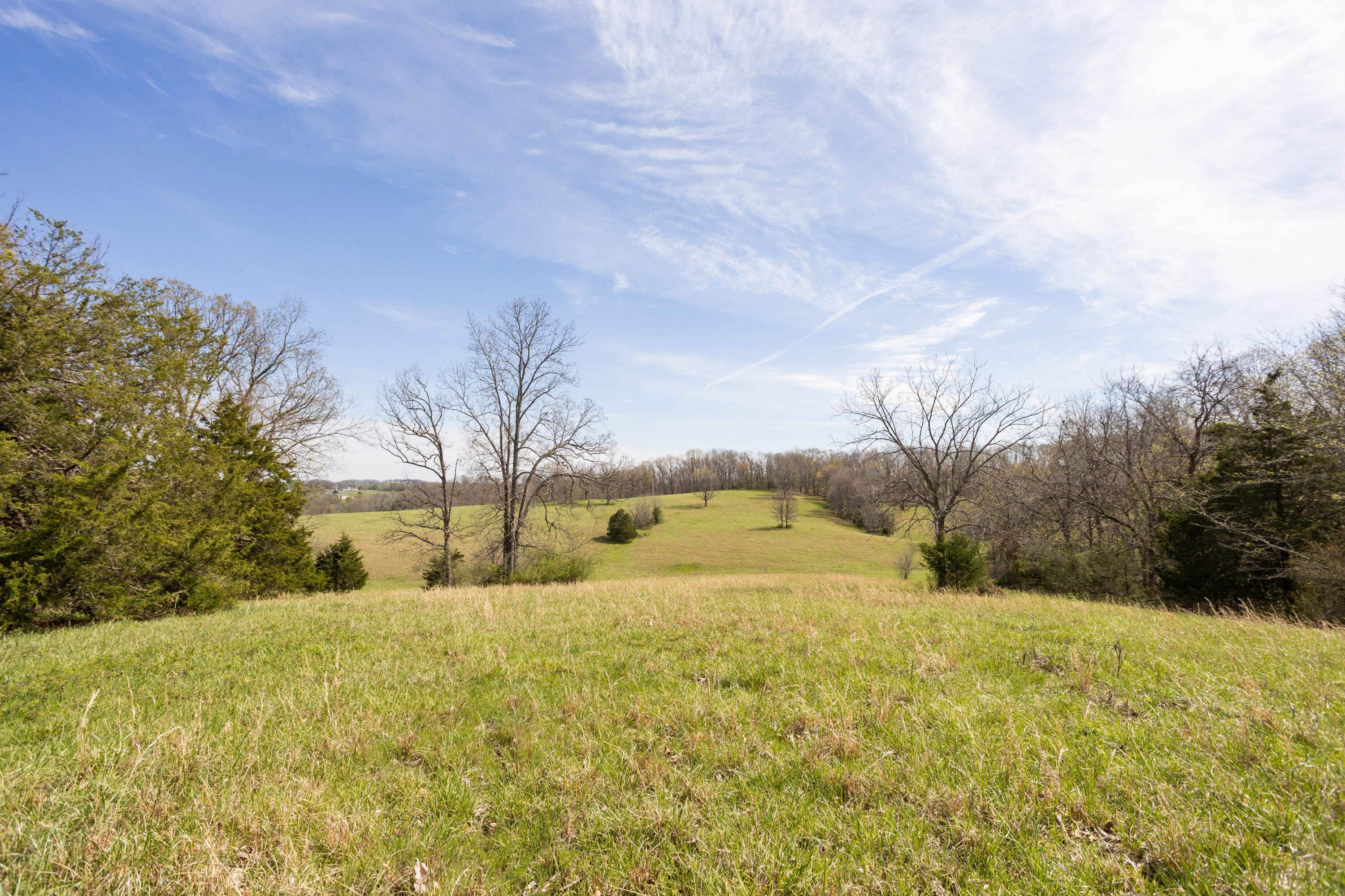 Photo 38 - Farm for sale – 9795  Co Rd W 76-506 Road  Ava, MO