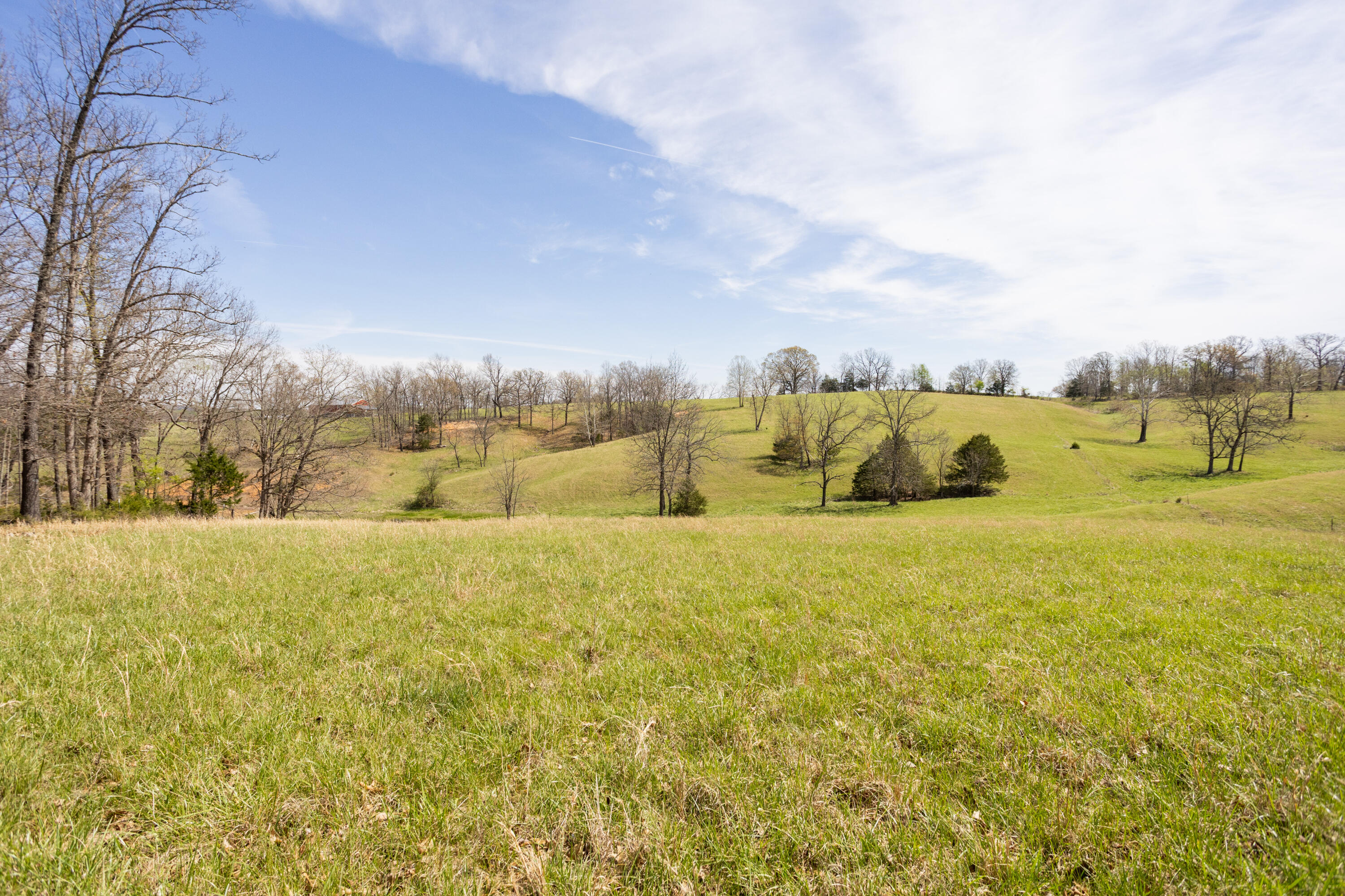 Photo 92 - Farm for sale – 9795  Co Rd W 76-506 Road  Ava, MO