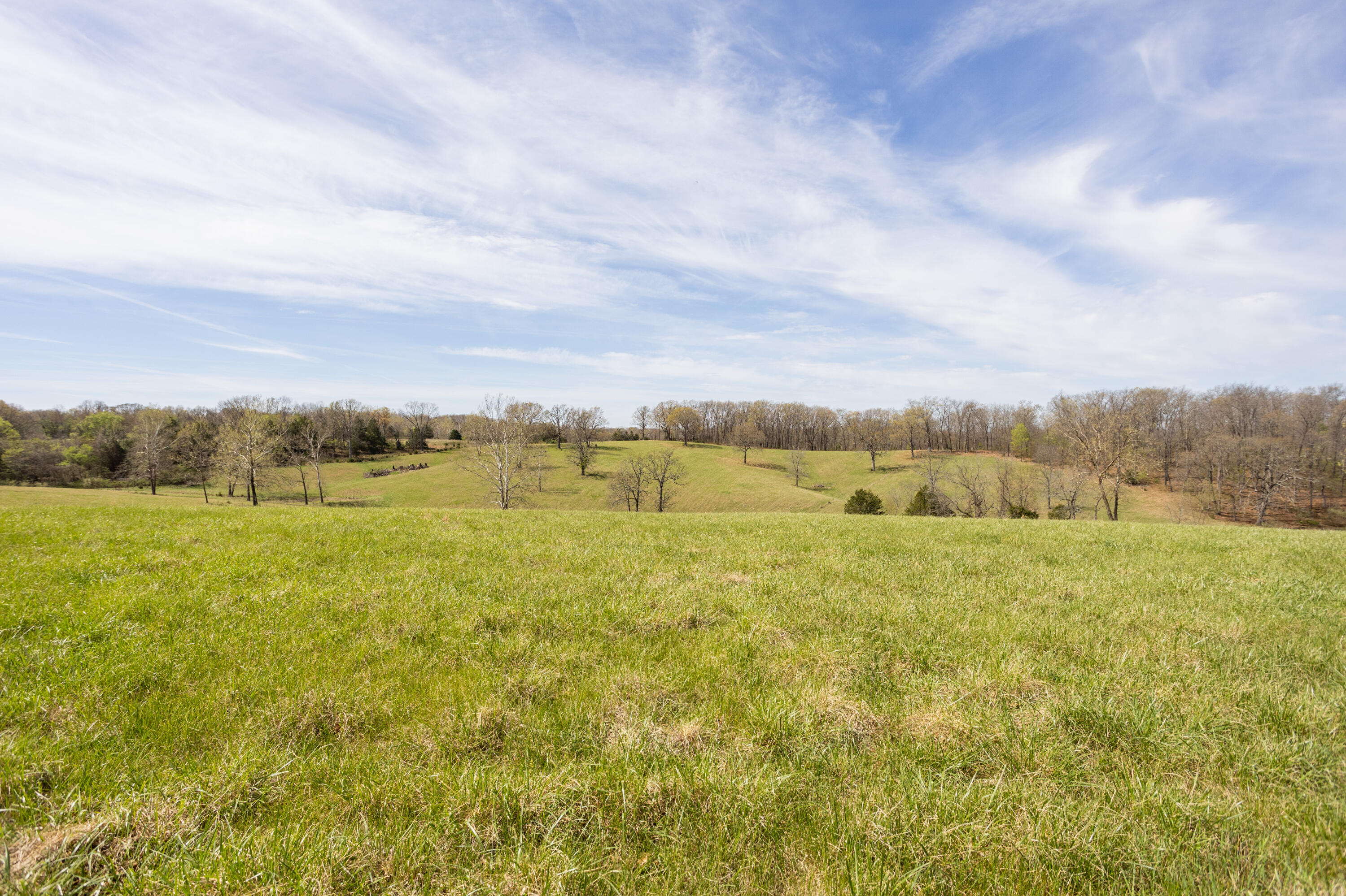 Photo 78 - Farm for sale – 9795  Co Rd W 76-506 Road  Ava, MO
