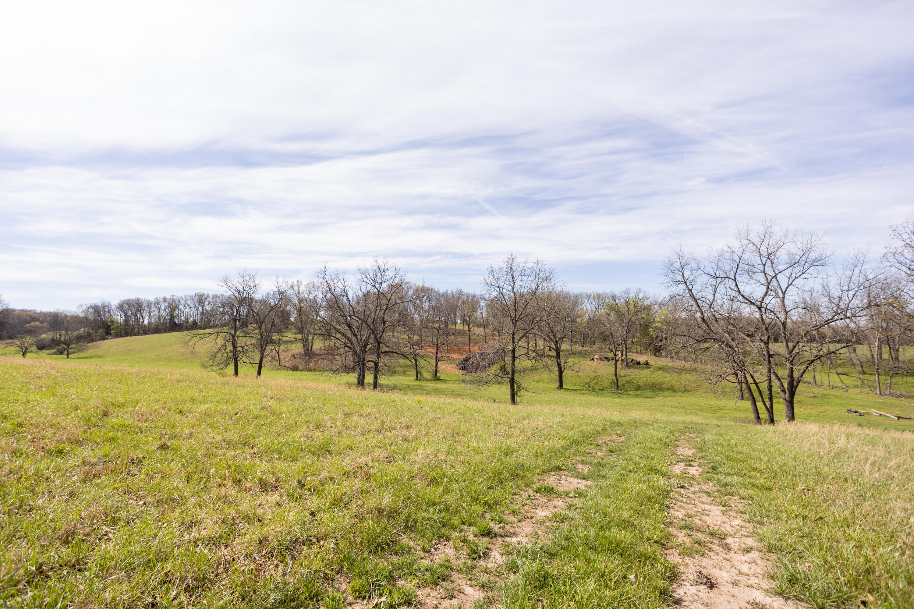 Photo 34 - Farm for sale – 9795  Co Rd W 76-506 Road  Ava, MO