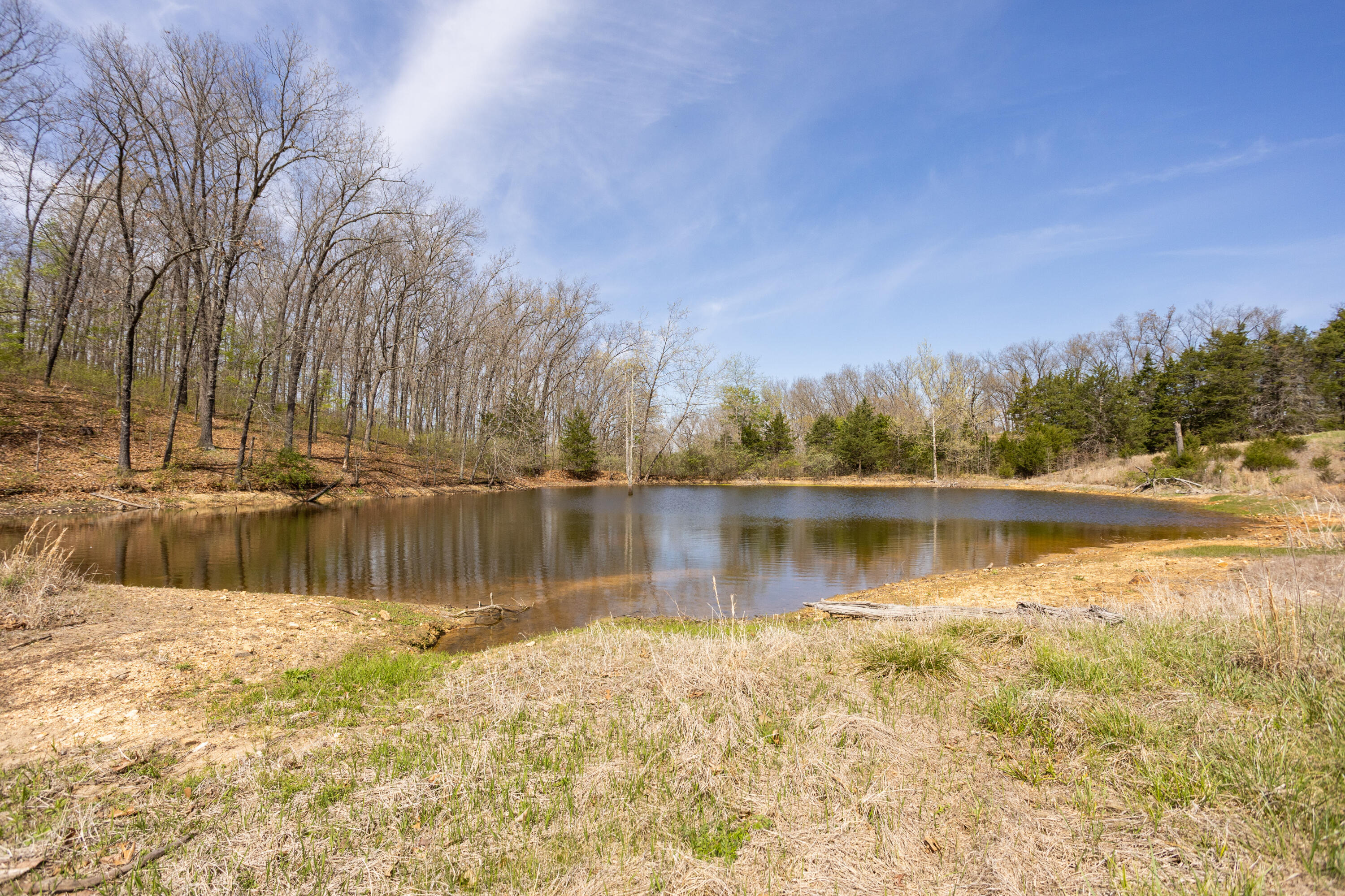 Photo 75 - Farm for sale – 9795  Co Rd W 76-506 Road  Ava, MO