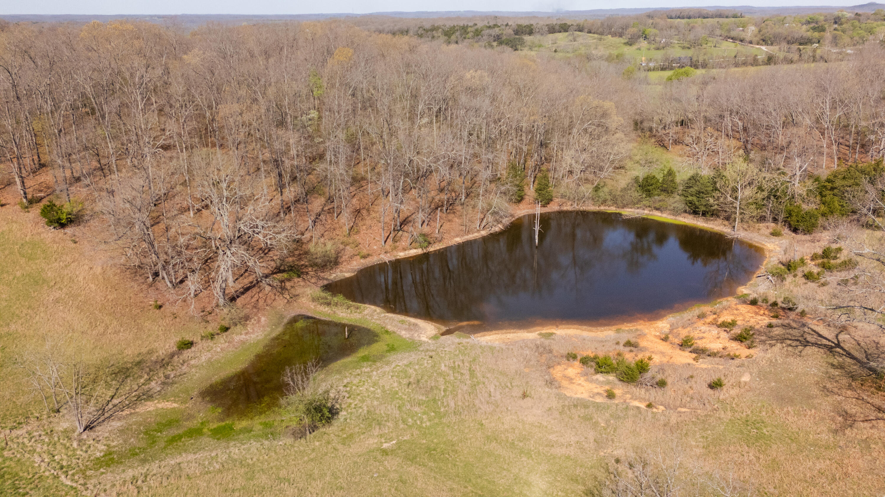Photo 36 - Farm for sale – 9795  Co Rd W 76-506 Road  Ava, MO