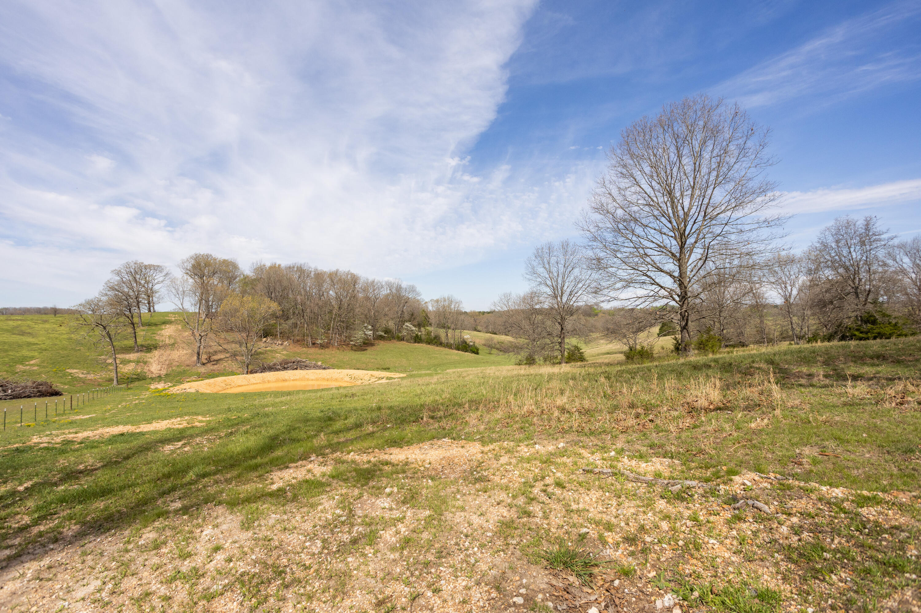 Photo 61 - Farm for sale – 9795  Co Rd W 76-506 Road  Ava, MO