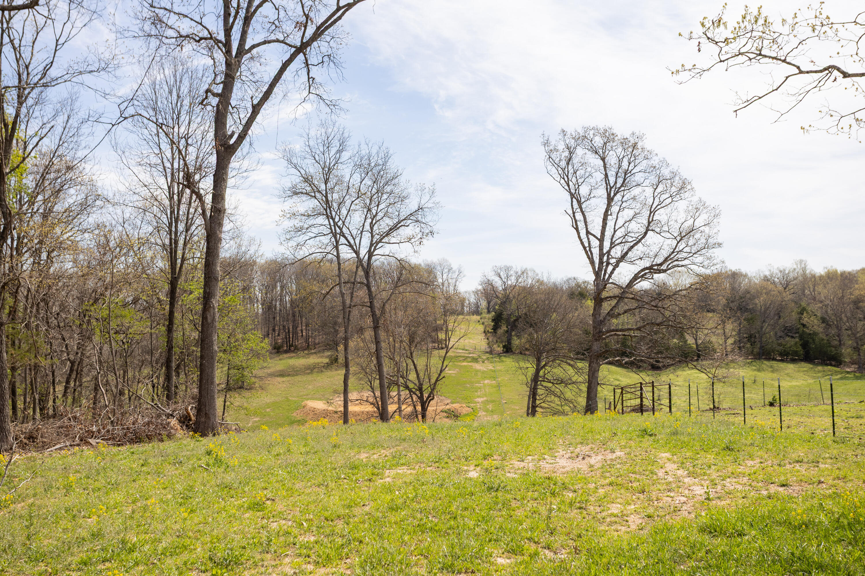 Photo 53 - Farm for sale – 9795  Co Rd W 76-506 Road  Ava, MO