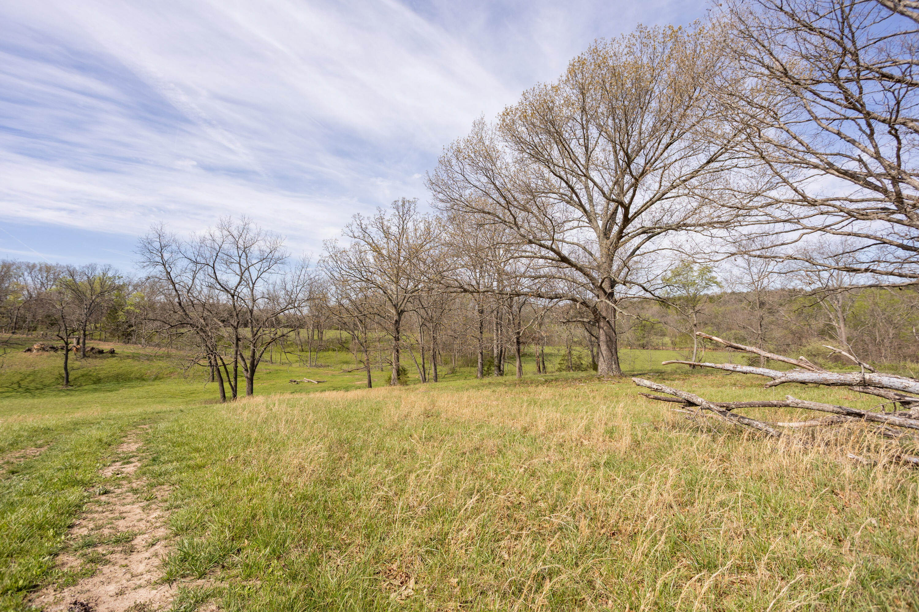 Photo 25 - Farm for sale – 9795  Co Rd W 76-506 Road  Ava, MO