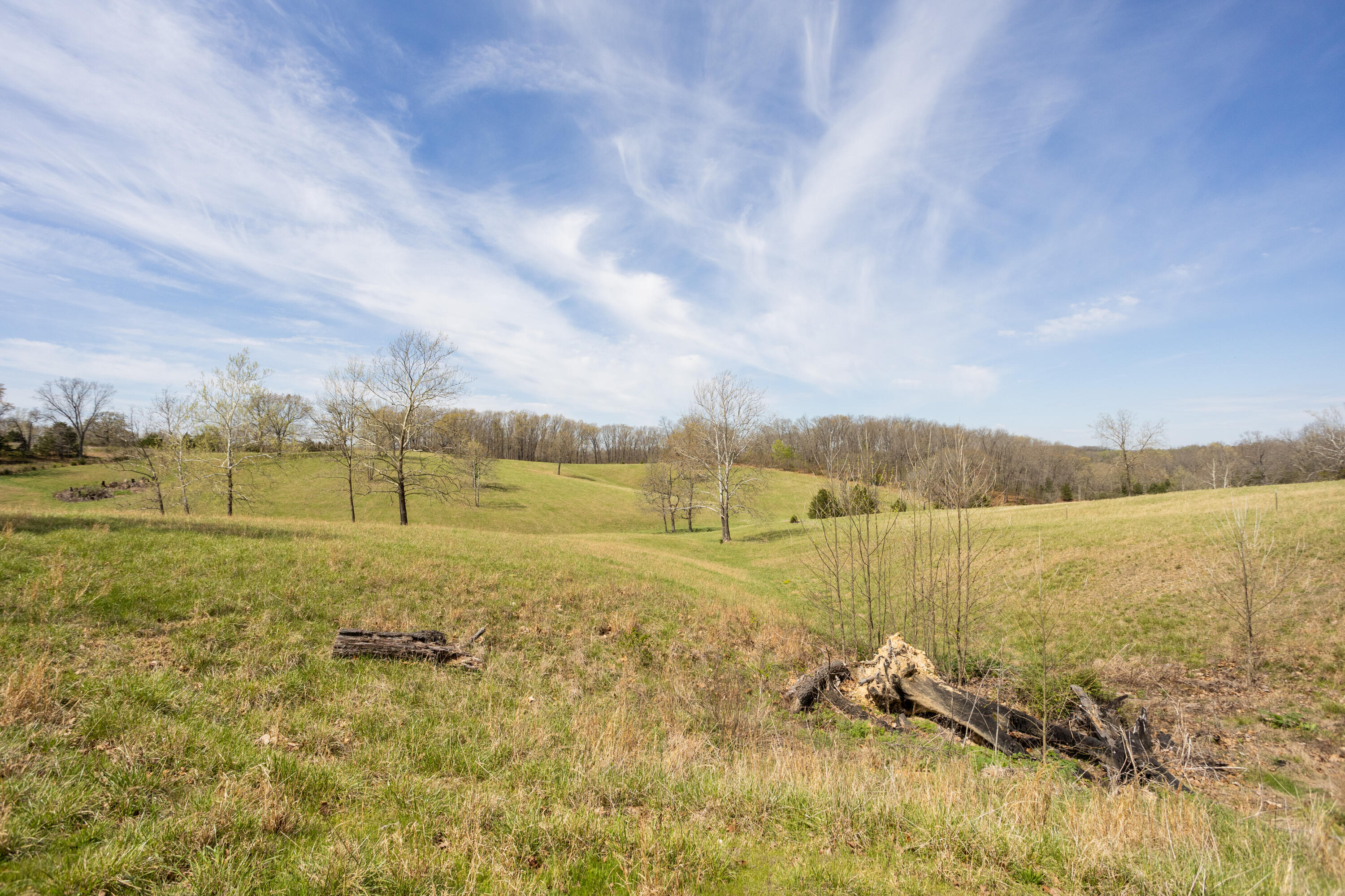 Photo 55 - Farm for sale – 9795  Co Rd W 76-506 Road  Ava, MO