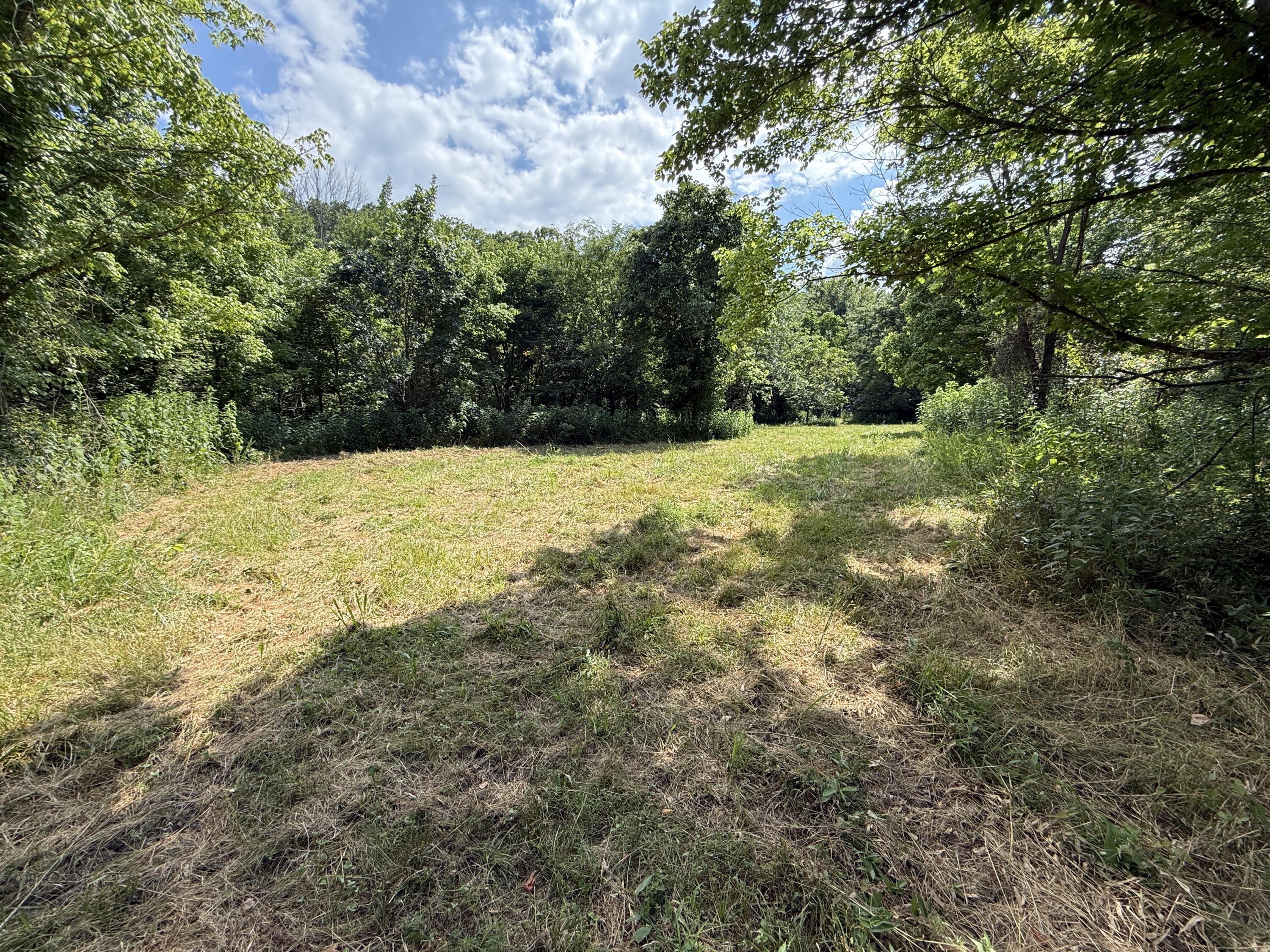 Photo 35 - Land for sale – 000  Holly Road  Pierce City, MO