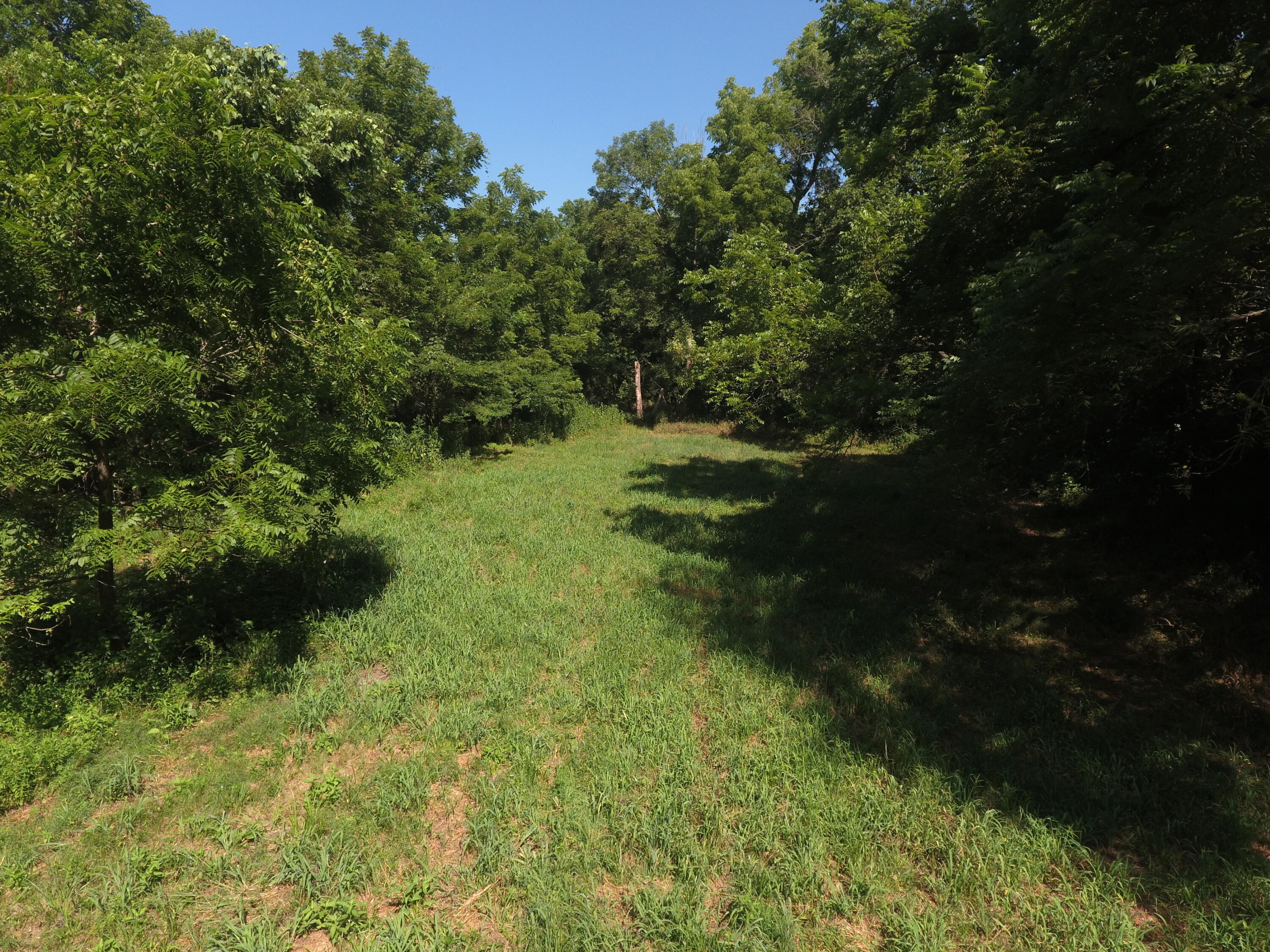 Photo 27 - Land for sale – 000  Holly Road  Pierce City, MO