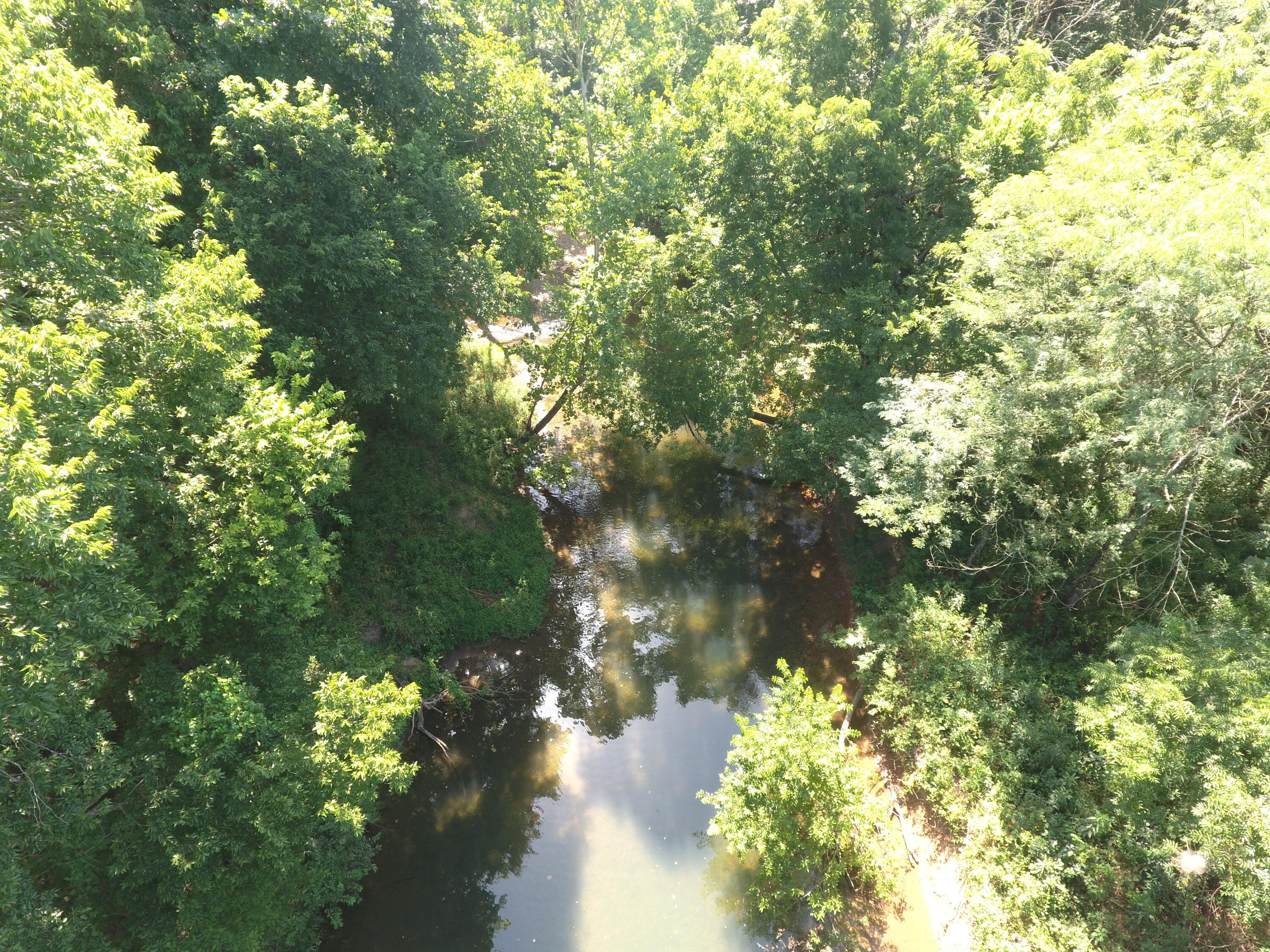 Photo 13 - Land for sale – 000  Holly Road  Pierce City, MO