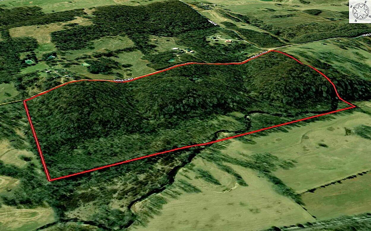 Photo 15 - Land for sale – 000  Holly Road  Pierce City, MO