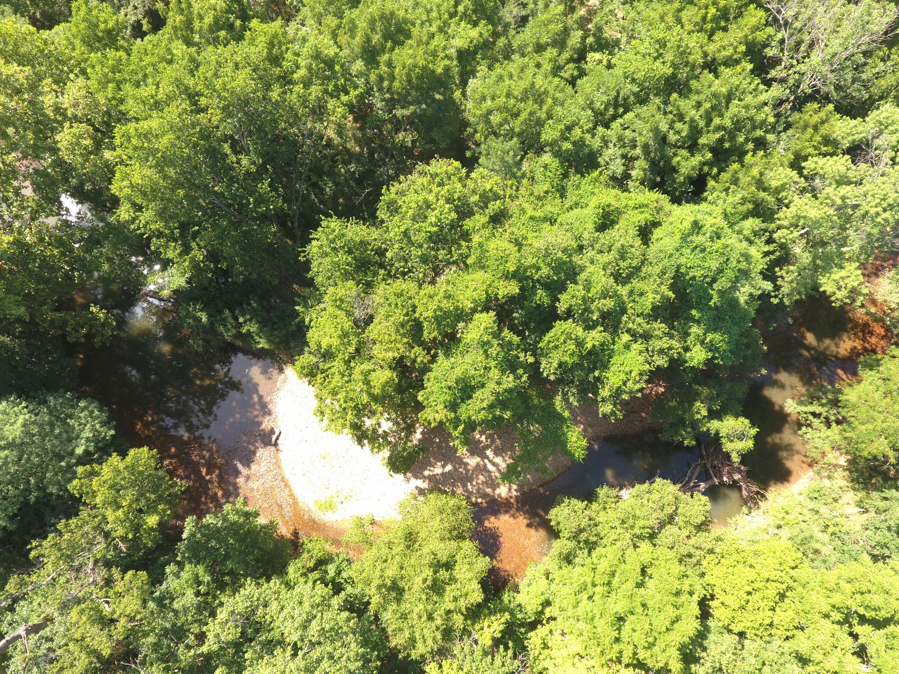 Photo 26 - Land for sale – 000  Holly Road  Pierce City, MO