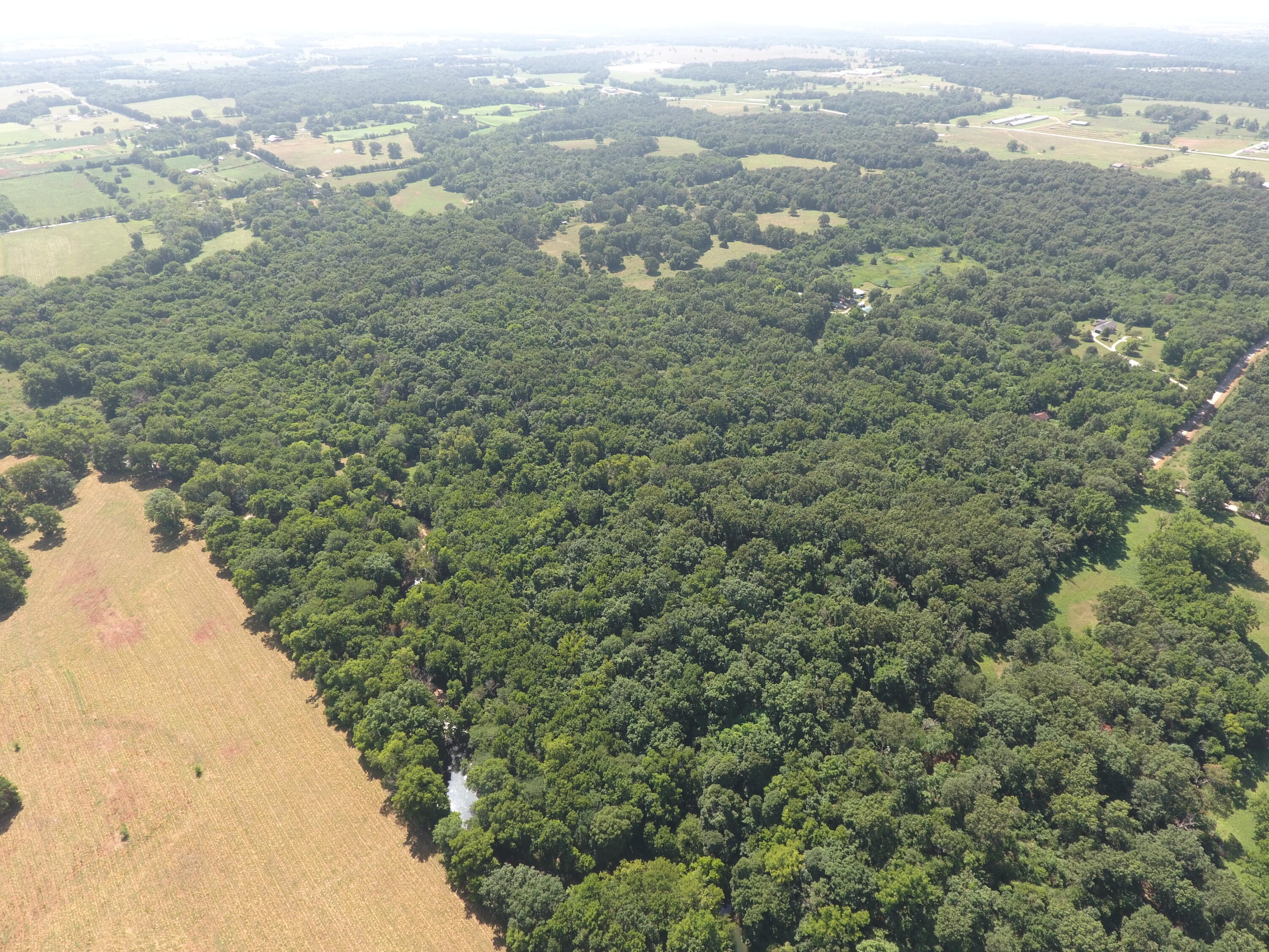 Photo 38 - Land for sale – 000  Holly Road  Pierce City, MO