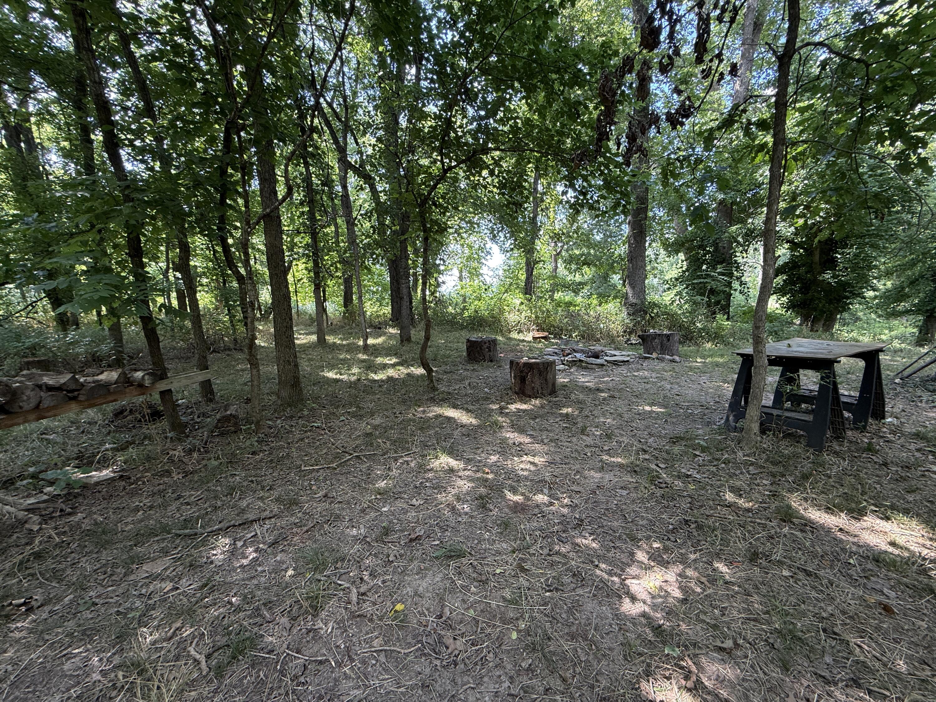Photo 8 - Land for sale – 000  Holly Road  Pierce City, MO
