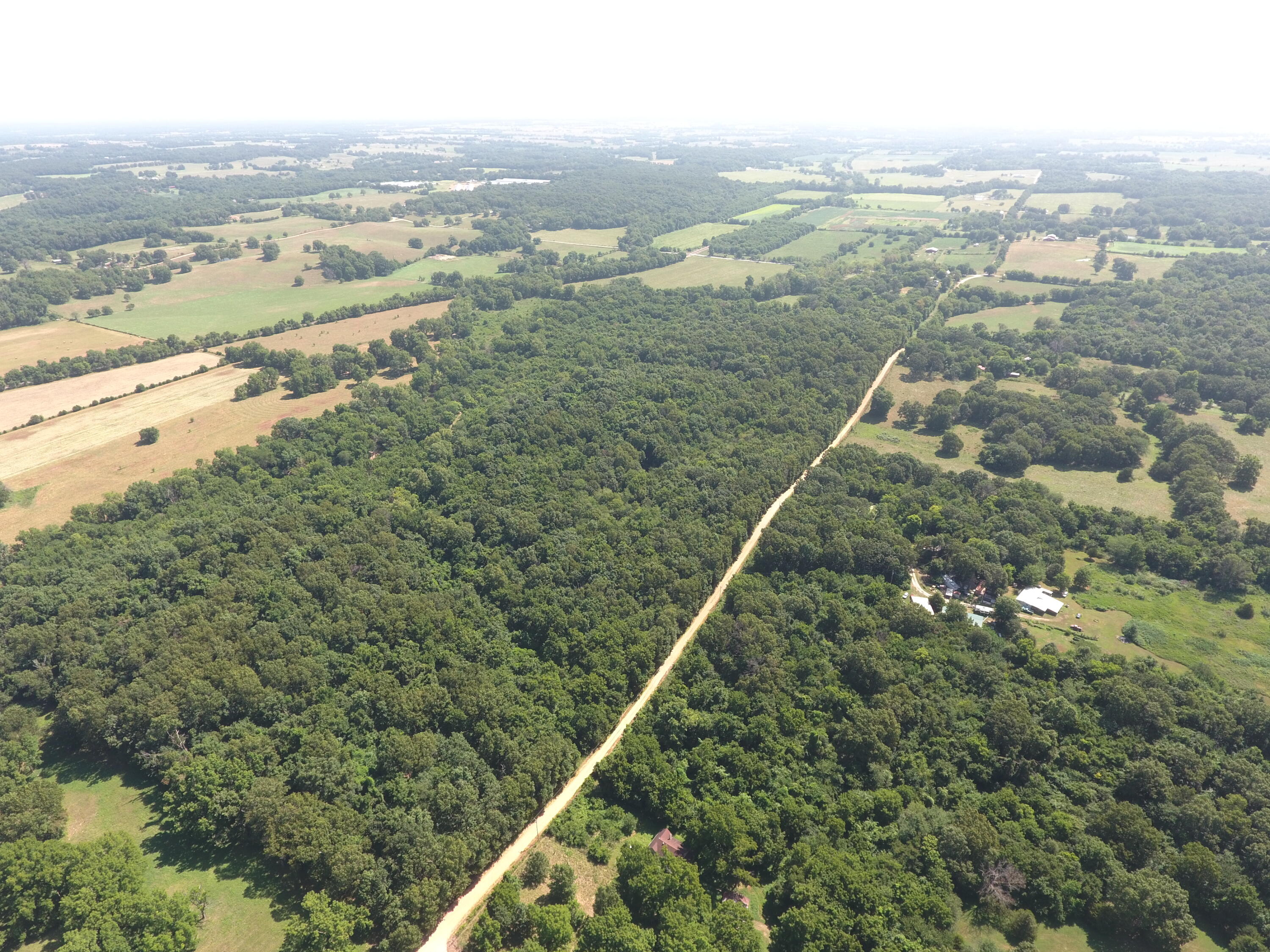 Photo 36 - Land for sale – 000  Holly Road  Pierce City, MO
