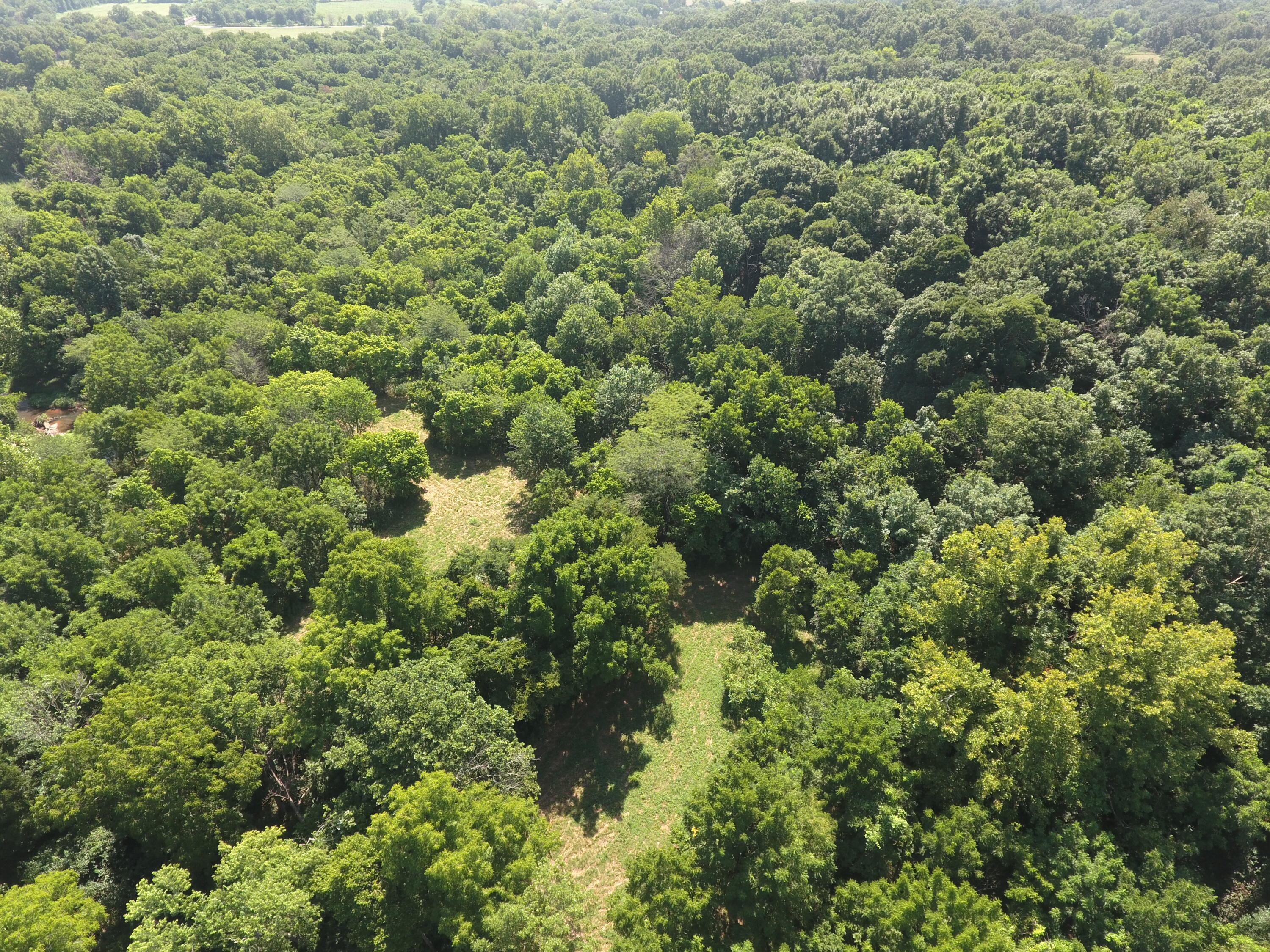 Photo 9 - Land for sale – 000  Holly Road  Pierce City, MO