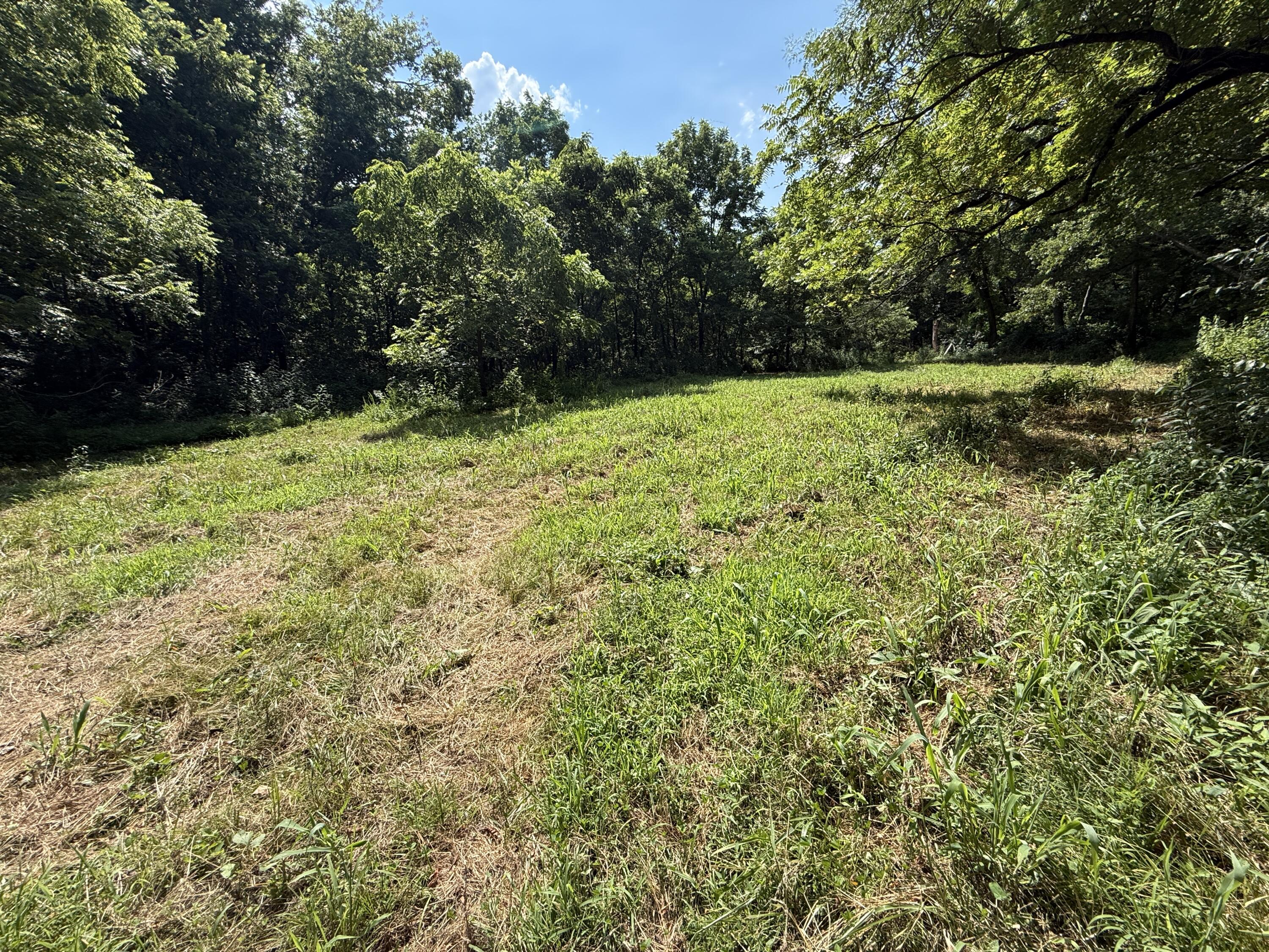 Photo 20 - Land for sale – 000  Holly Road  Pierce City, MO