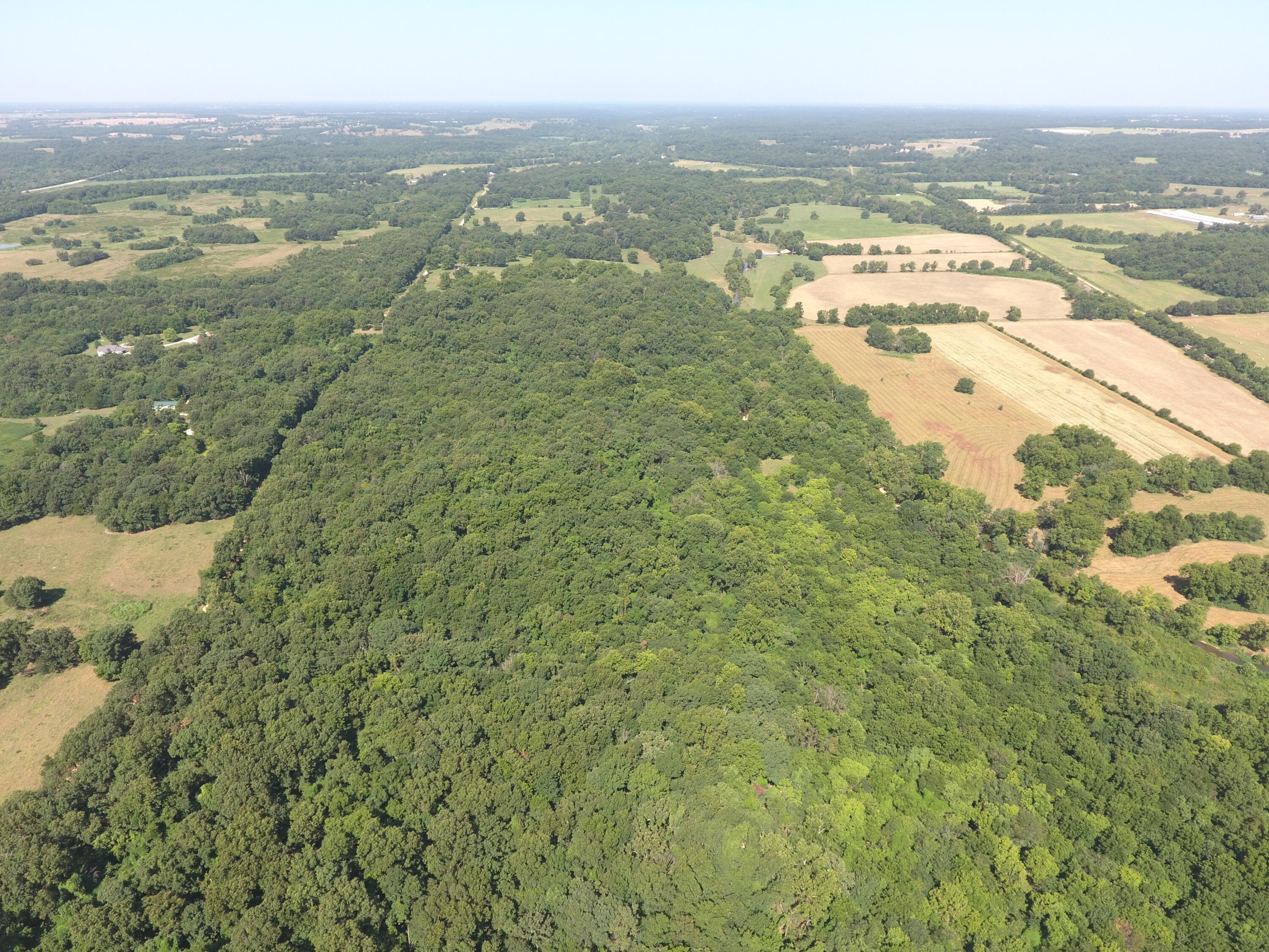 Photo 31 - Land for sale – 000  Holly Road  Pierce City, MO