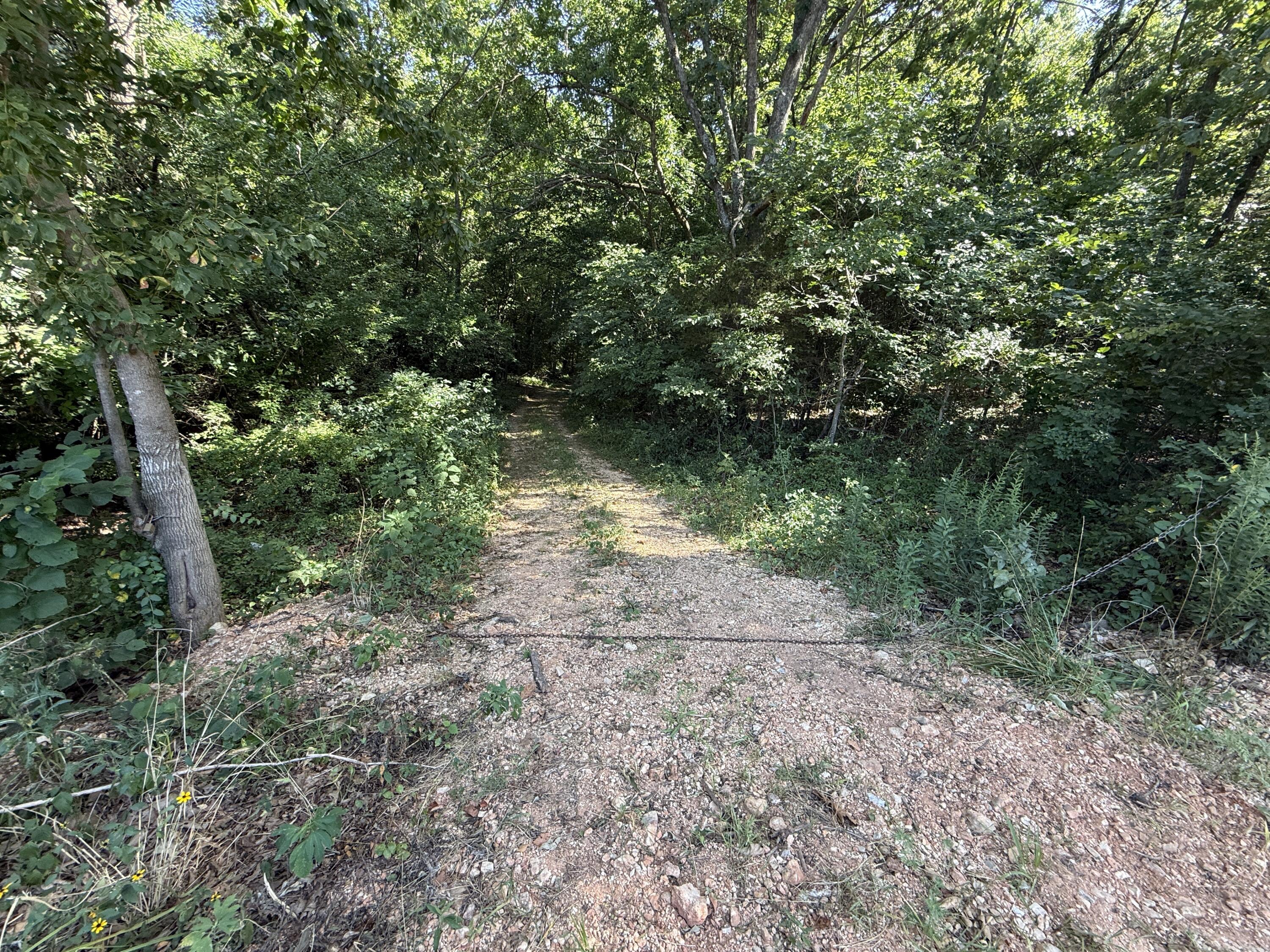 Photo 23 - Land for sale – 000  Holly Road  Pierce City, MO