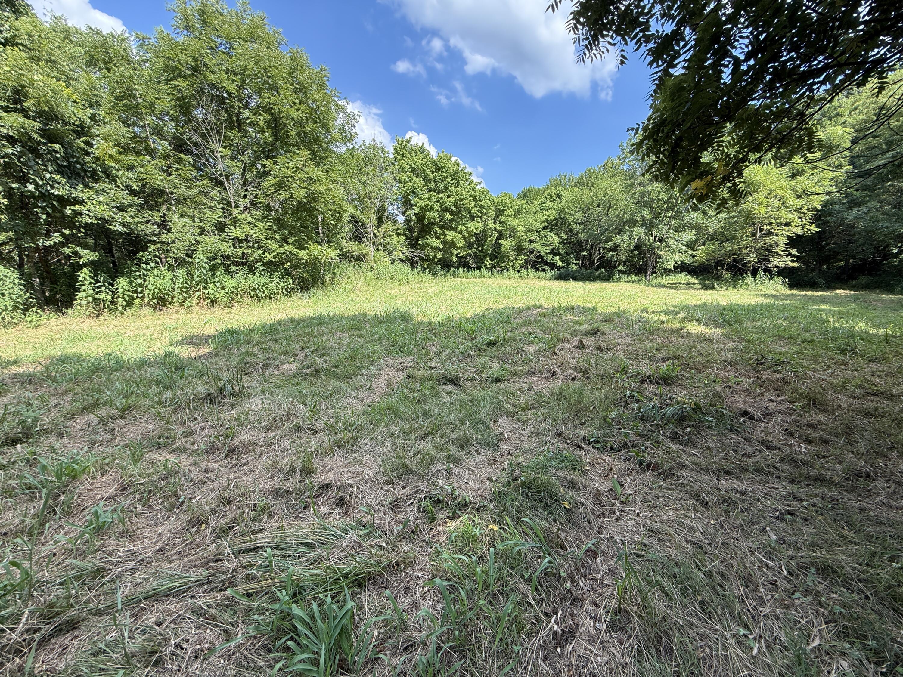 Photo 3 - Land for sale – 000  Holly Road  Pierce City, MO