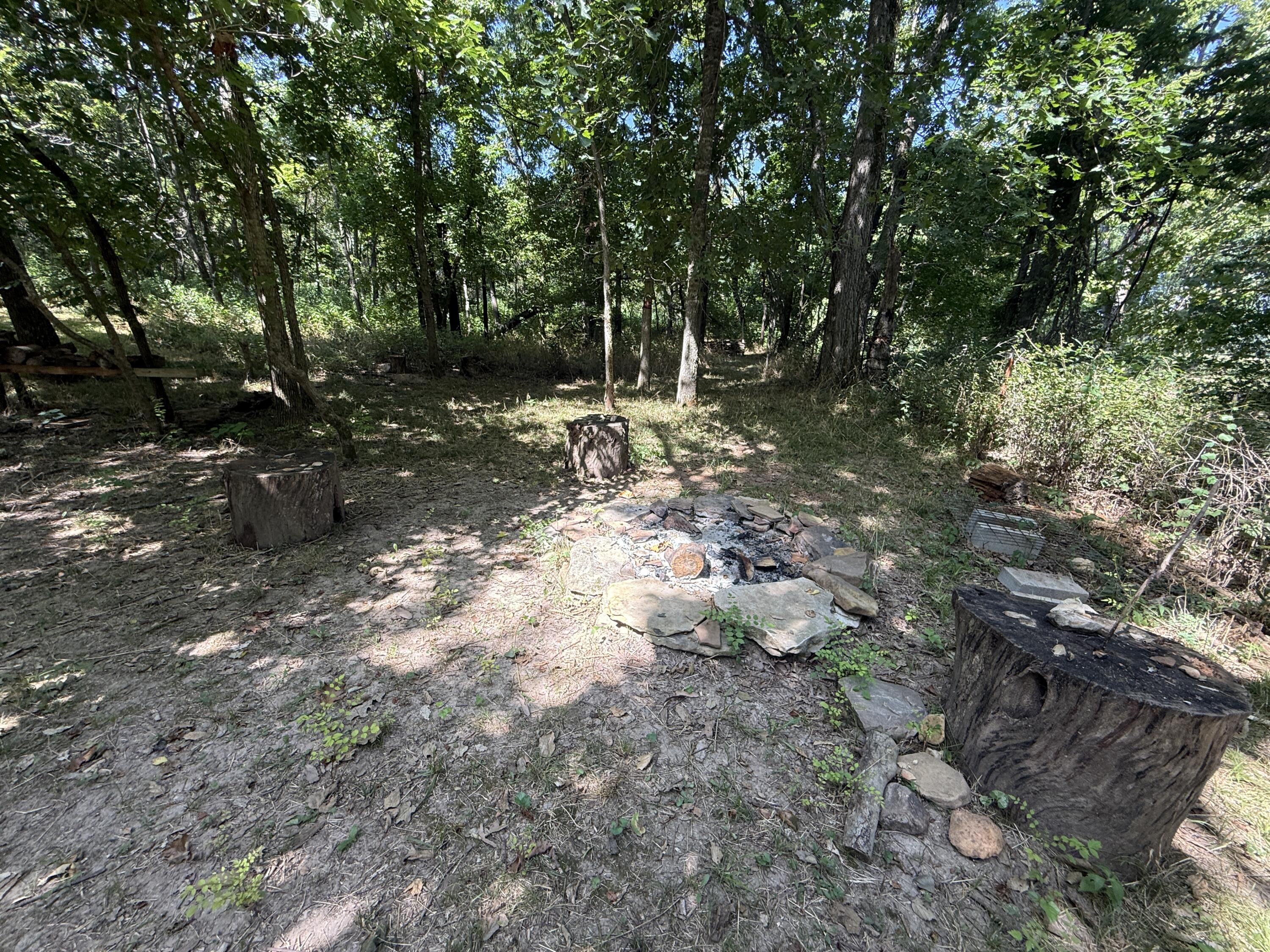 Photo 17 - Land for sale – 000  Holly Road  Pierce City, MO