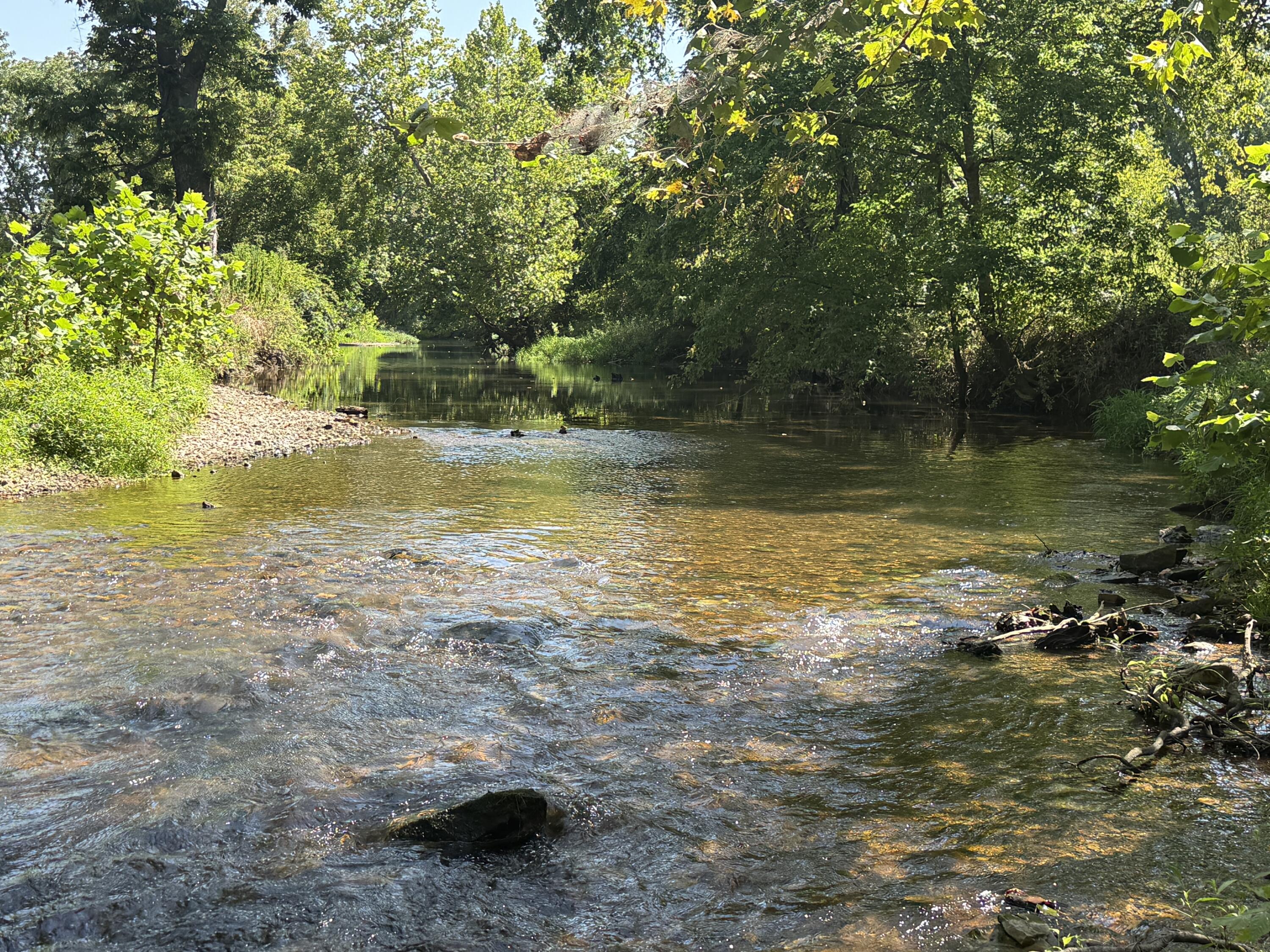 Land for sale – 000 Holly Road Pierce City, MO