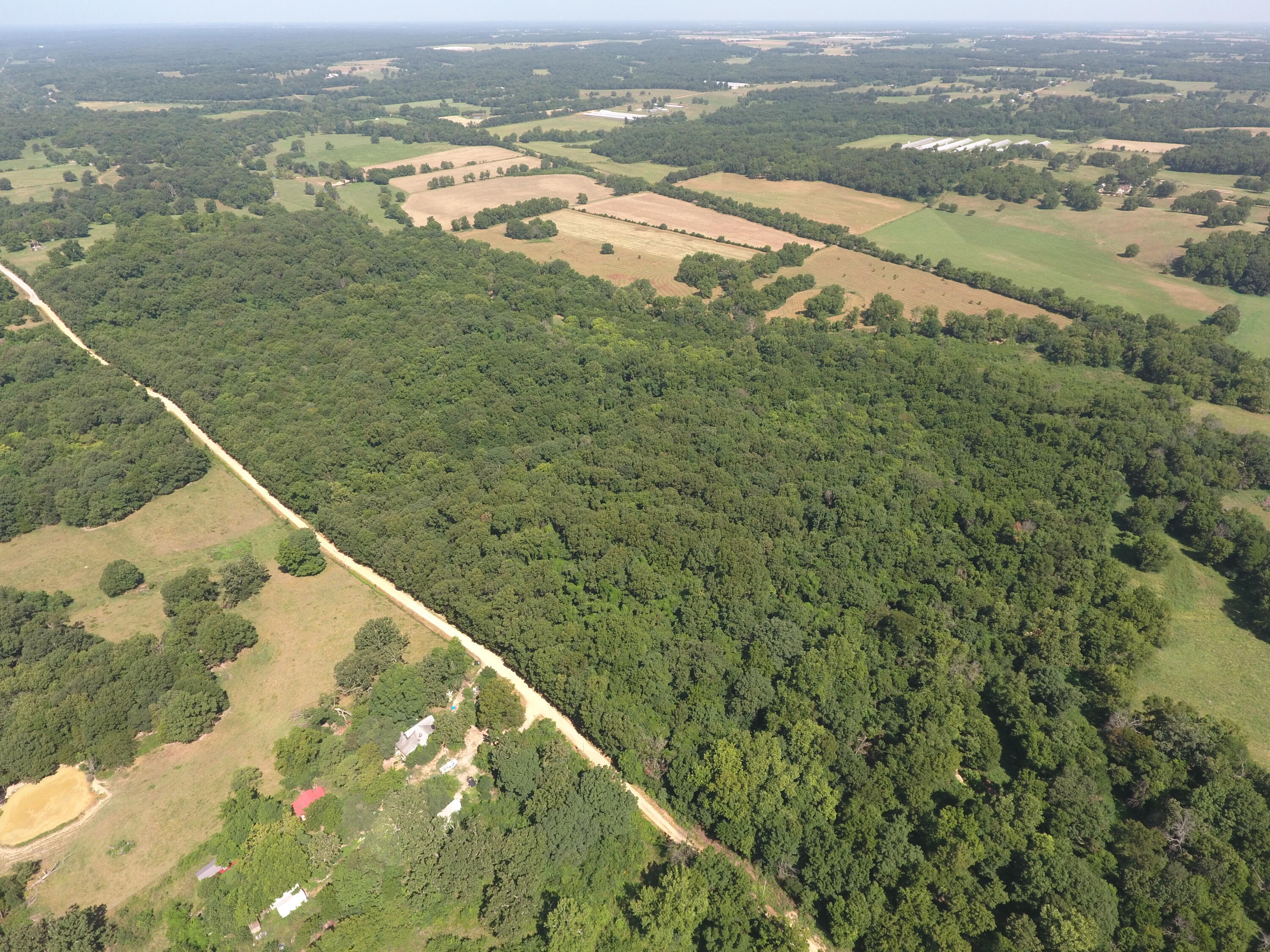Photo 6 - Land for sale – 000  Holly Road  Pierce City, MO