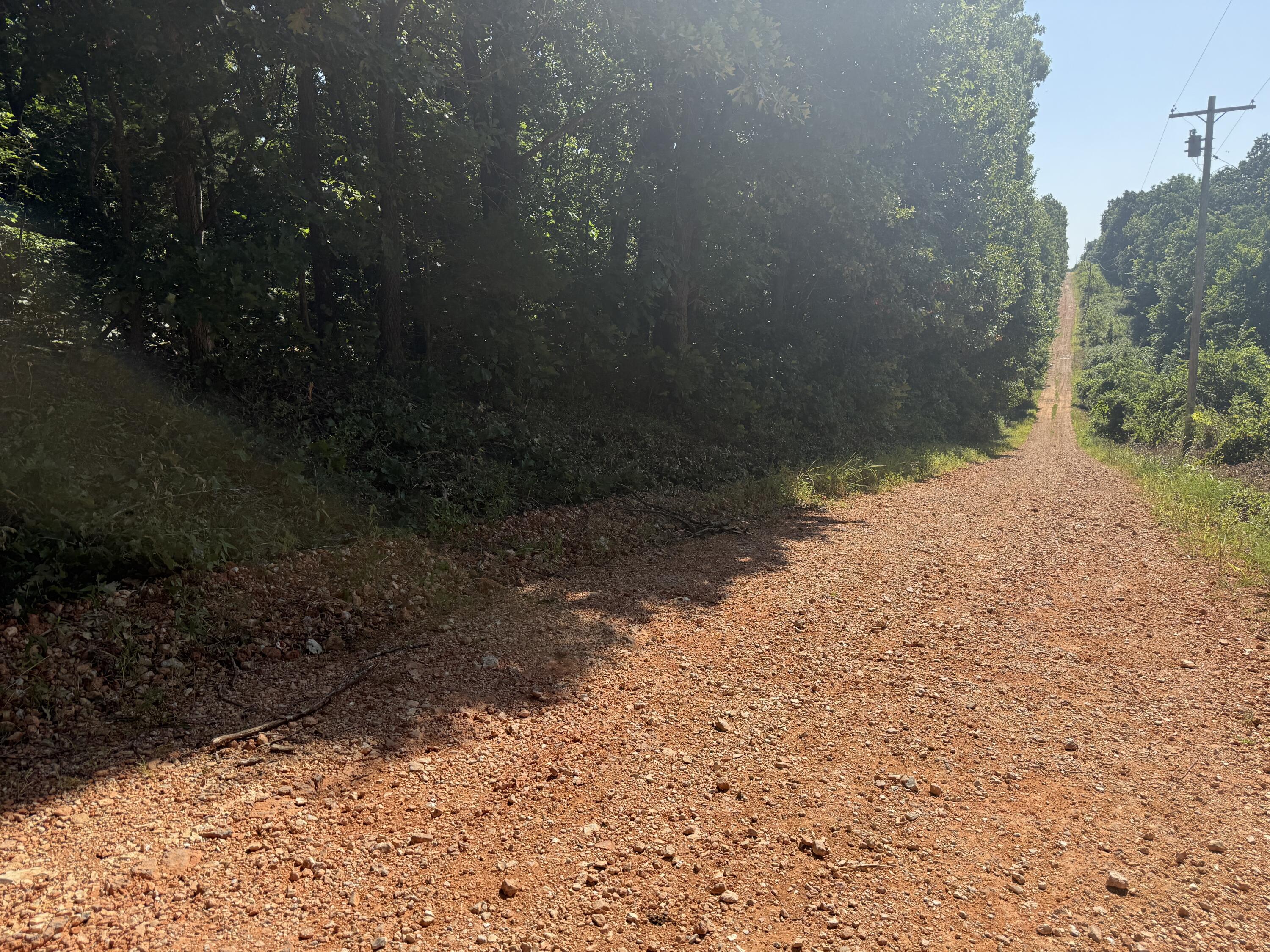 Photo 22 - Land for sale – 000  Holly Road  Pierce City, MO