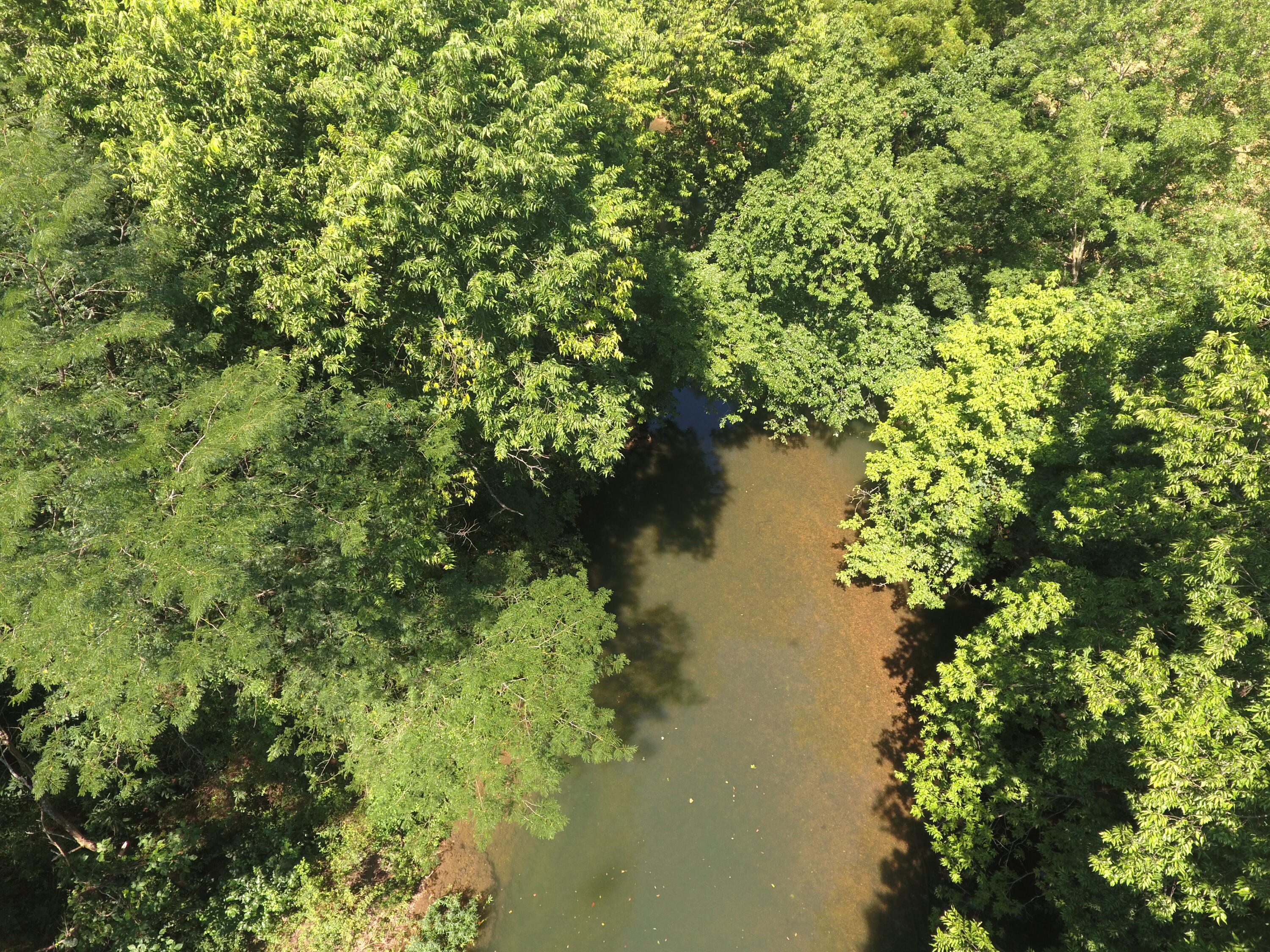 Photo 39 - Land for sale – 000  Holly Road  Pierce City, MO