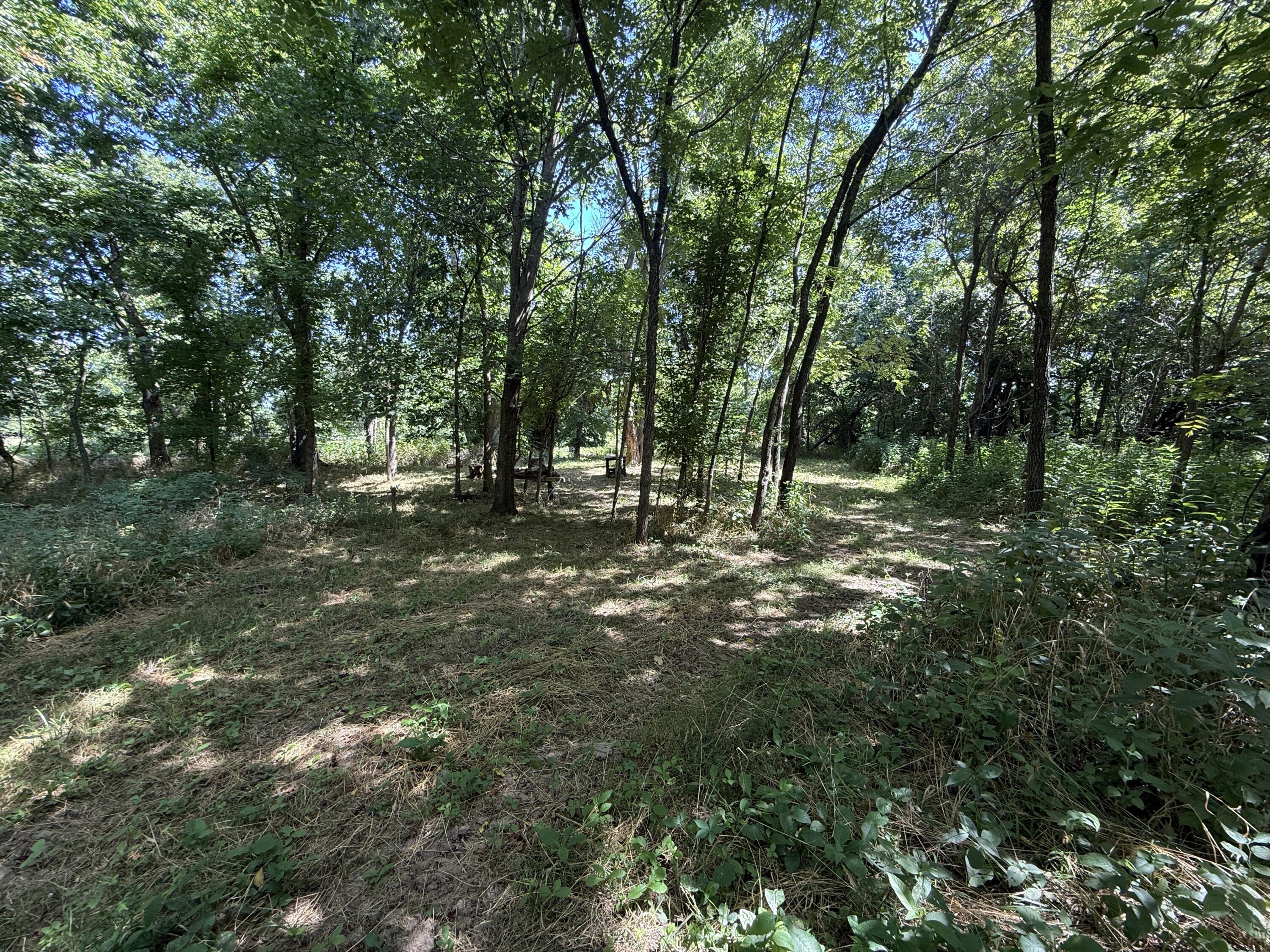 Photo 14 - Land for sale – 000  Holly Road  Pierce City, MO