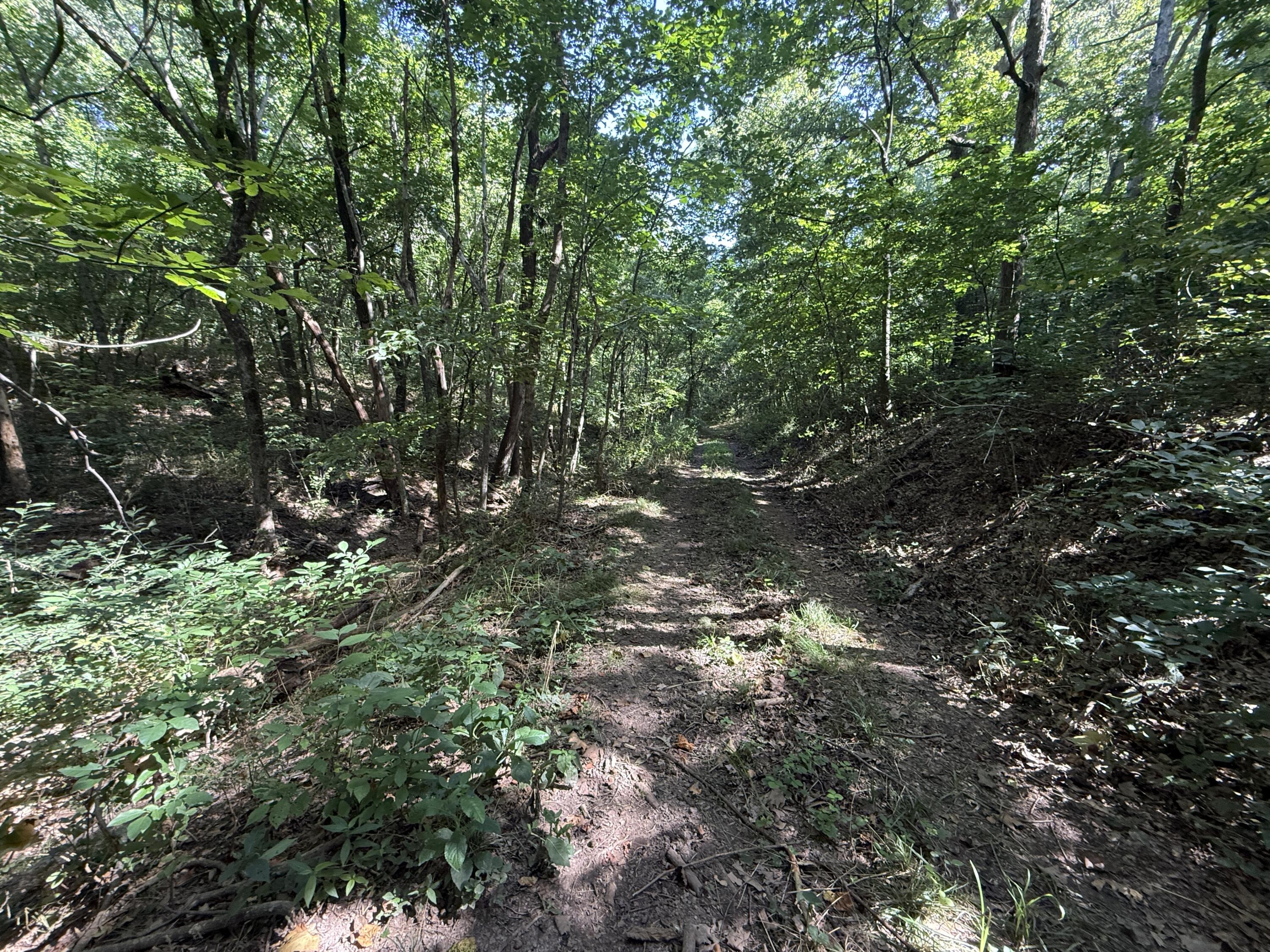 Photo 30 - Land for sale – 000  Holly Road  Pierce City, MO