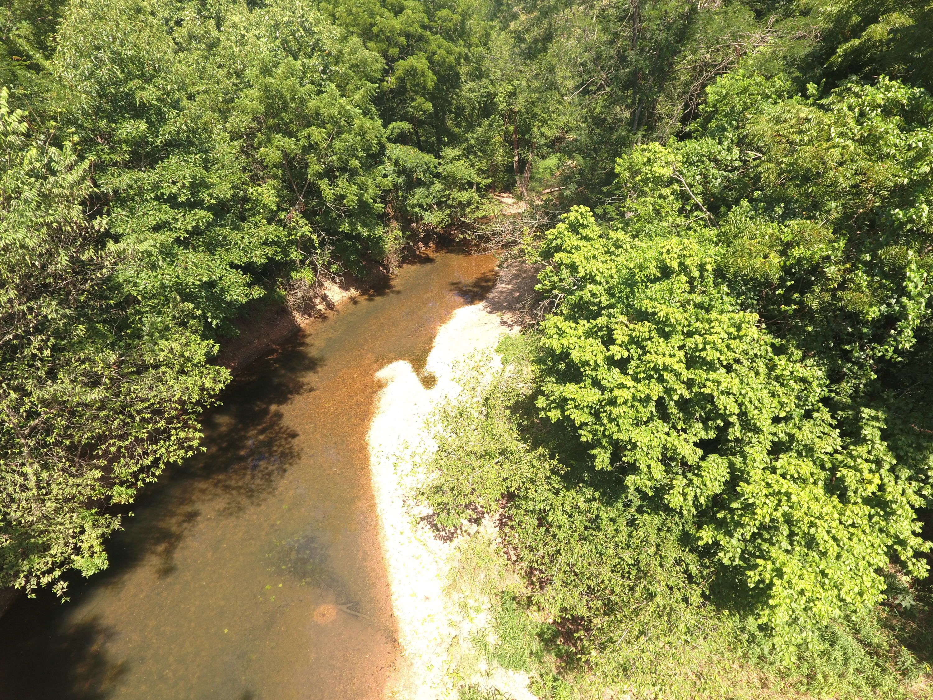 Photo 5 - Land for sale – 000  Holly Road  Pierce City, MO