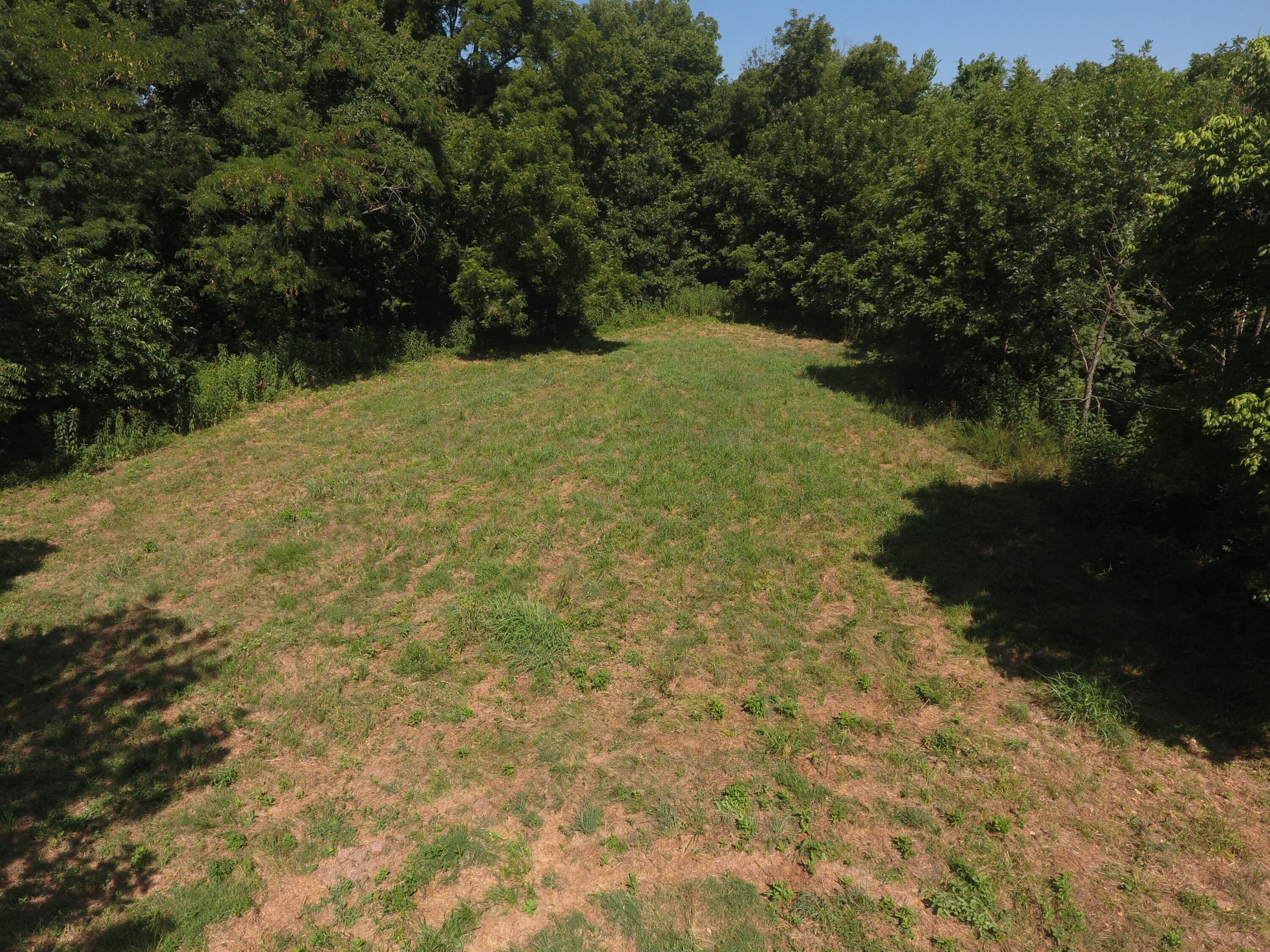 Photo 10 - Land for sale – 000  Holly Road  Pierce City, MO