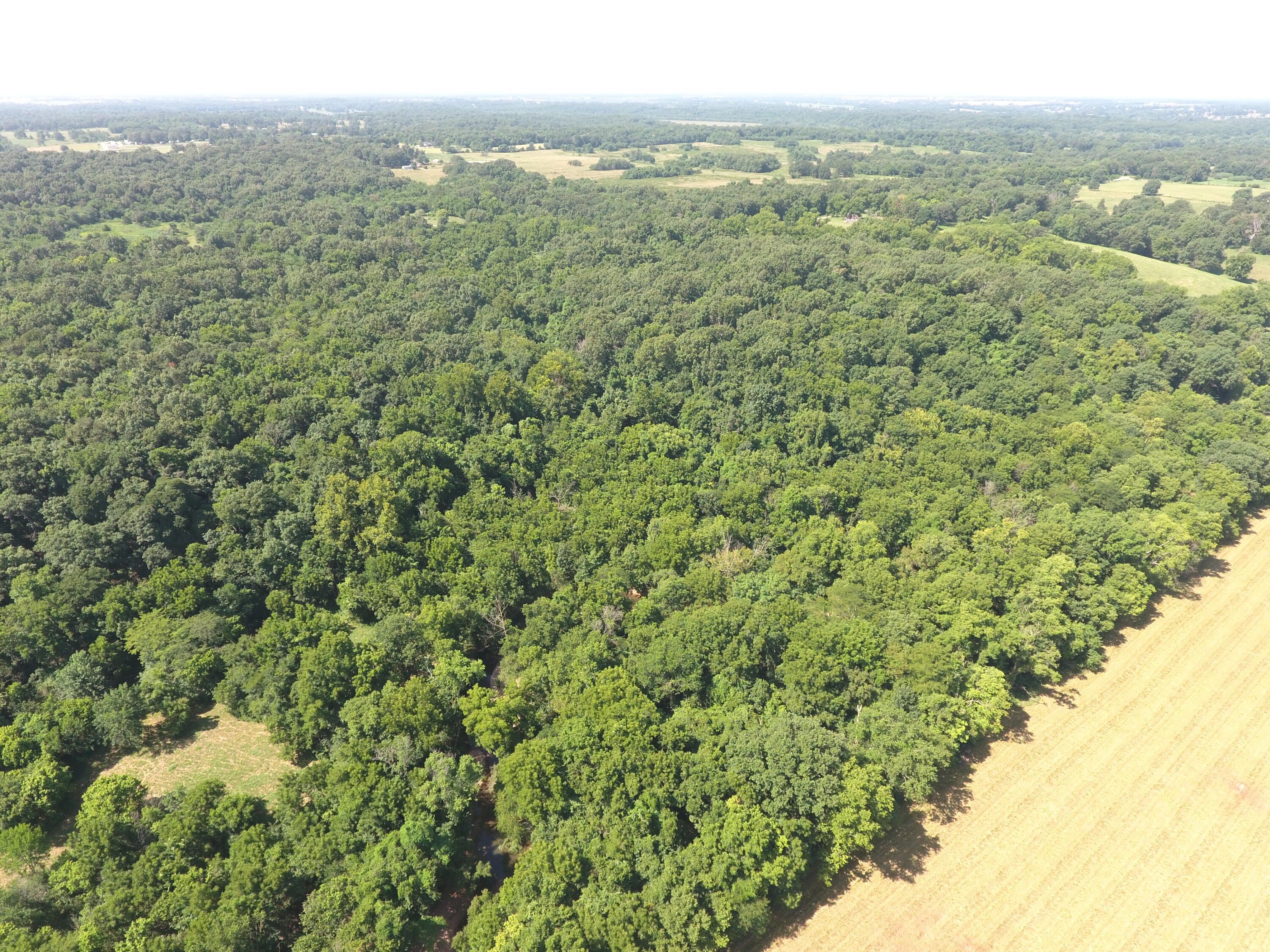 Photo 11 - Land for sale – 000  Holly Road  Pierce City, MO