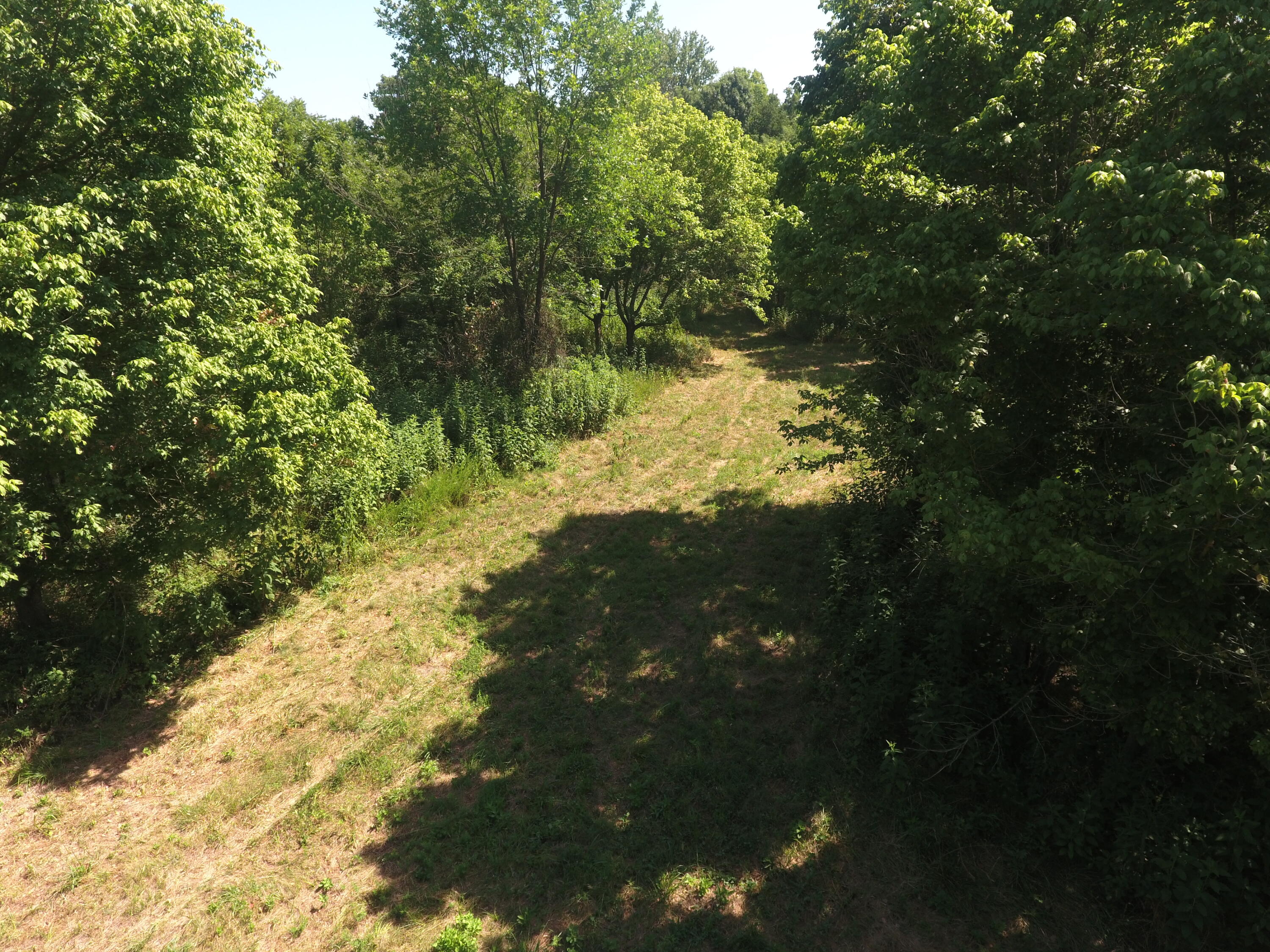 Photo 32 - Land for sale – 000  Holly Road  Pierce City, MO