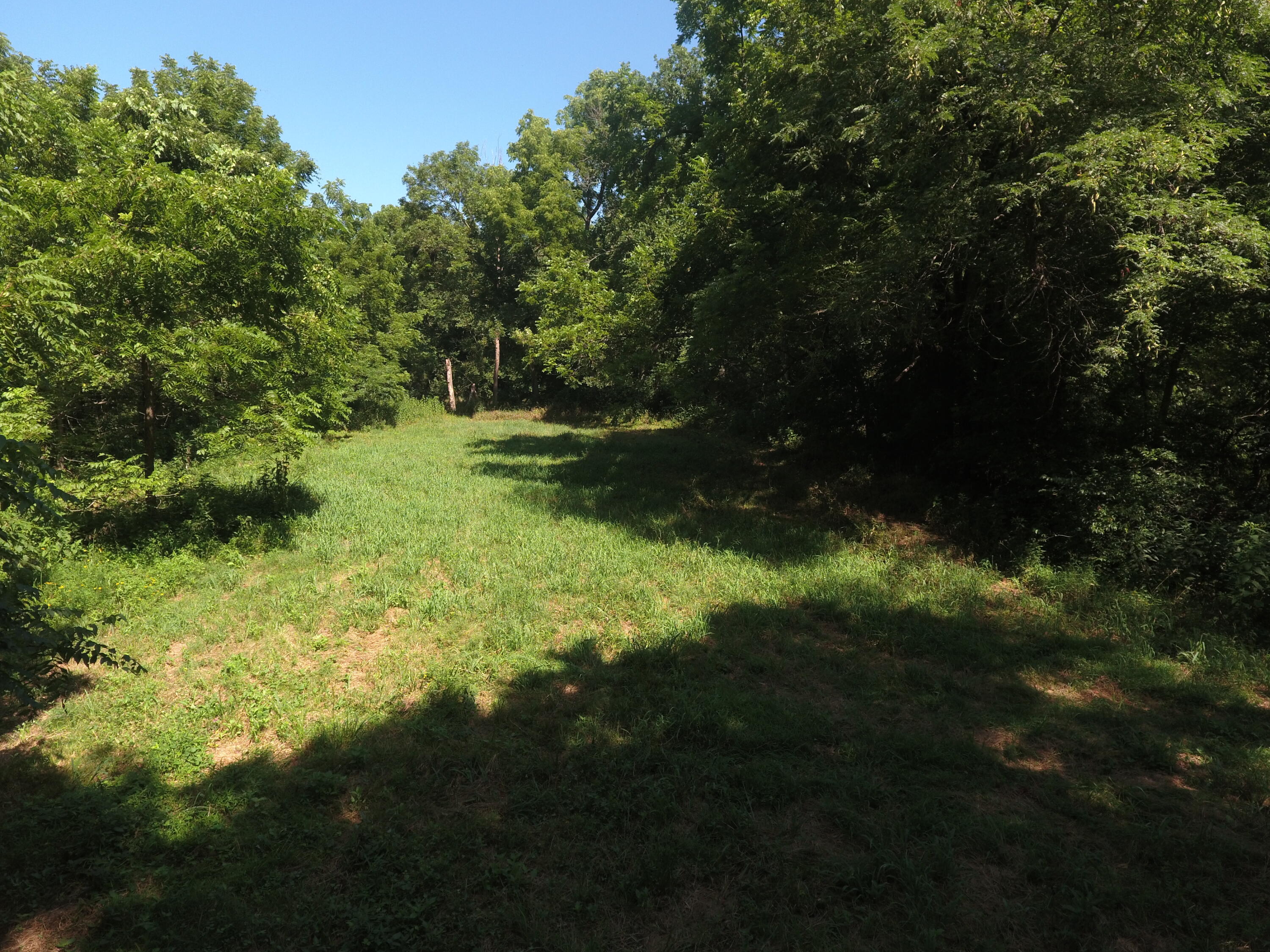 Photo 24 - Land for sale – 000  Holly Road  Pierce City, MO