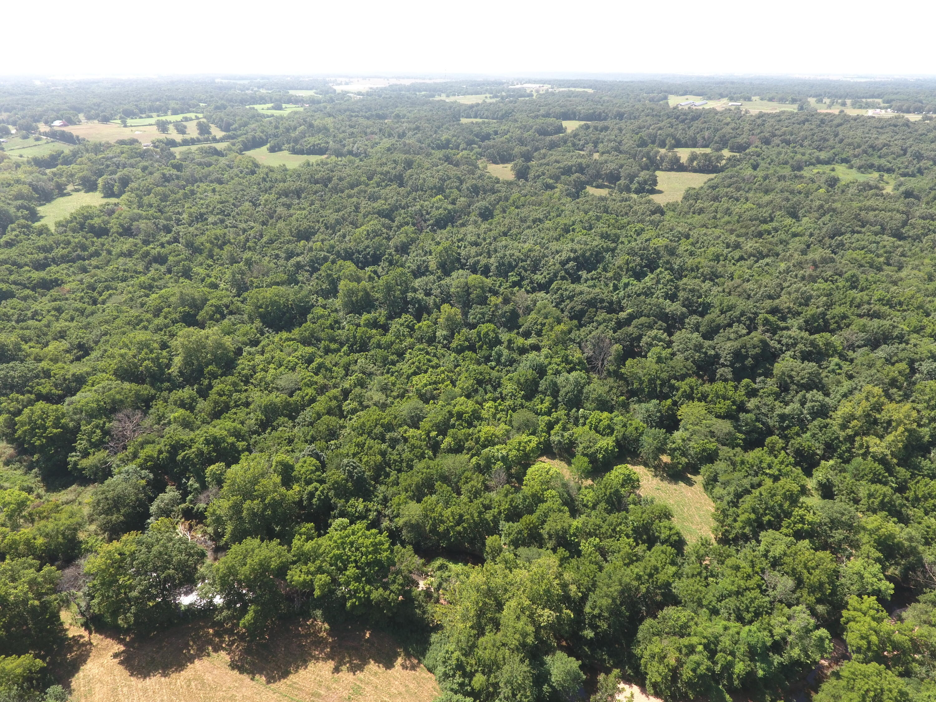 Photo 28 - Land for sale – 000  Holly Road  Pierce City, MO