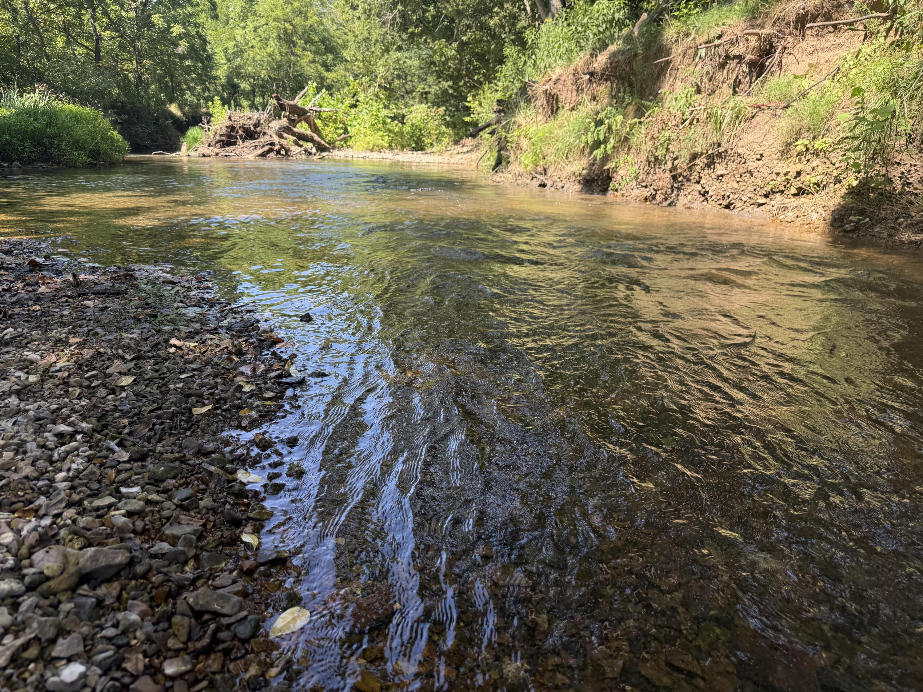 Photo 42 - Land for sale – 000  Holly Road  Pierce City, MO