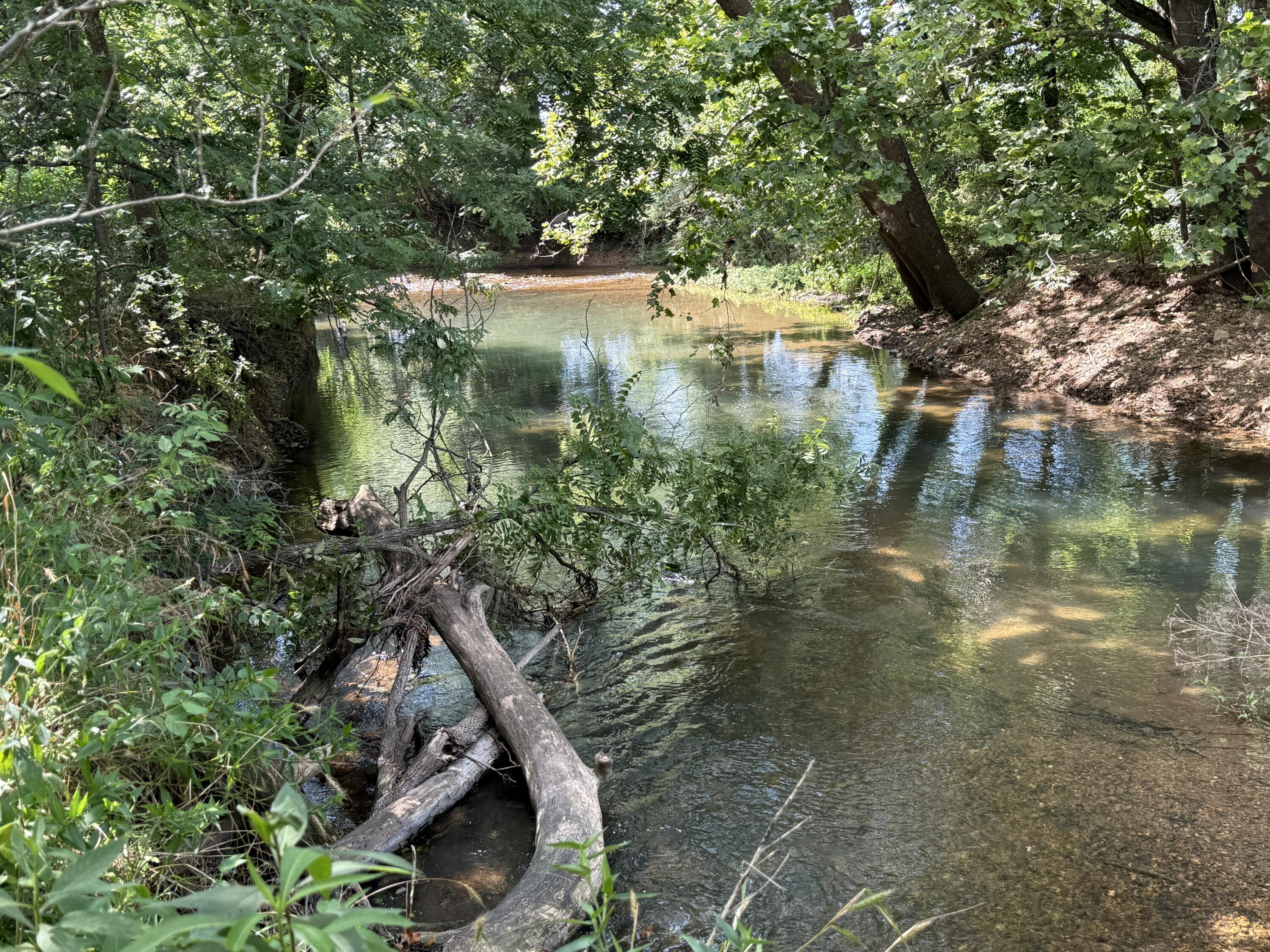 Photo 18 - Land for sale – 000  Holly Road  Pierce City, MO