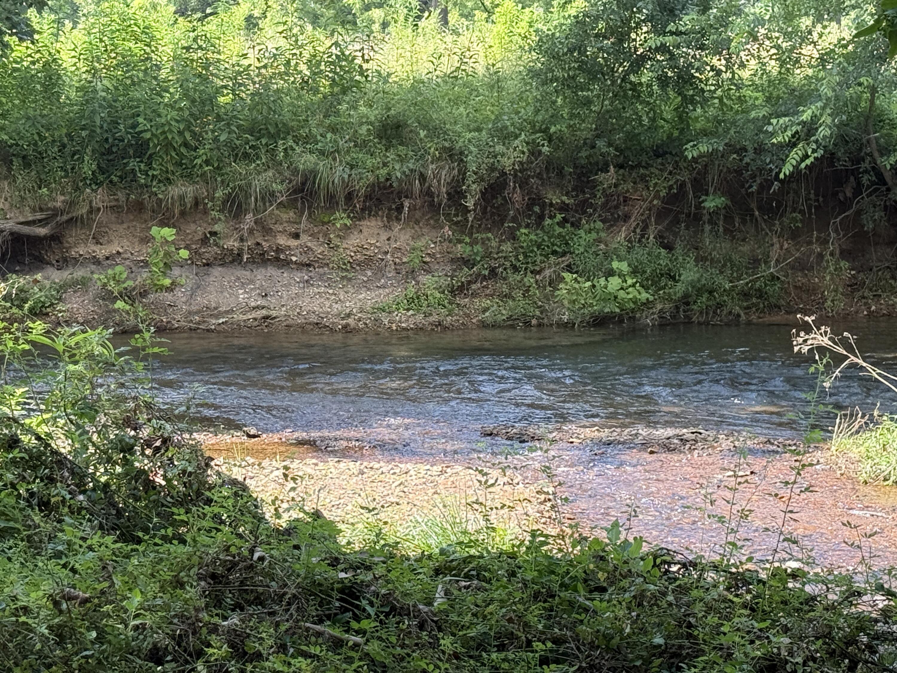 Photo 34 - Land for sale – 000  Holly Road  Pierce City, MO