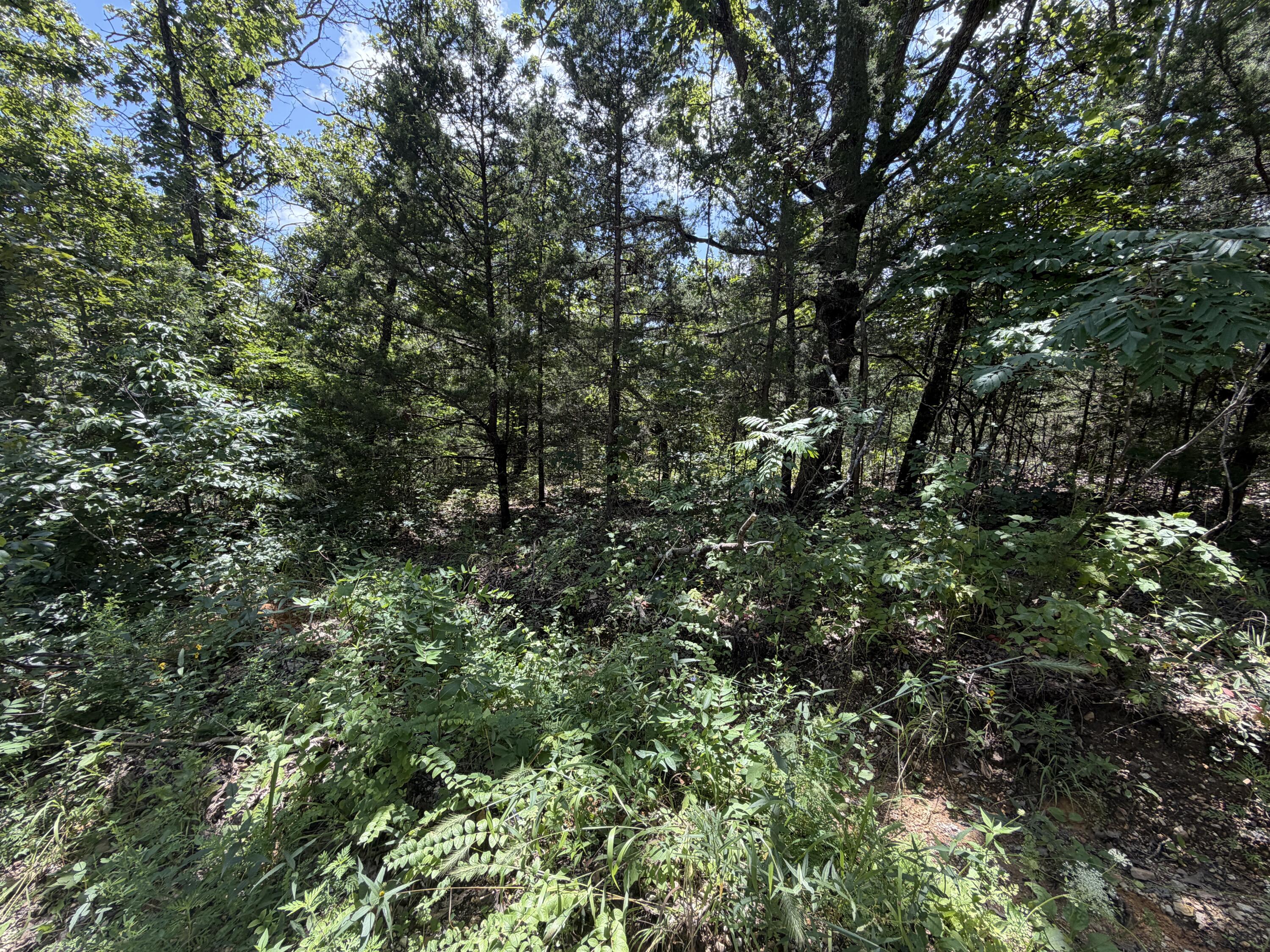 Photo 14 - Land for sale – 000  Ranch Road   Willow Springs, MO